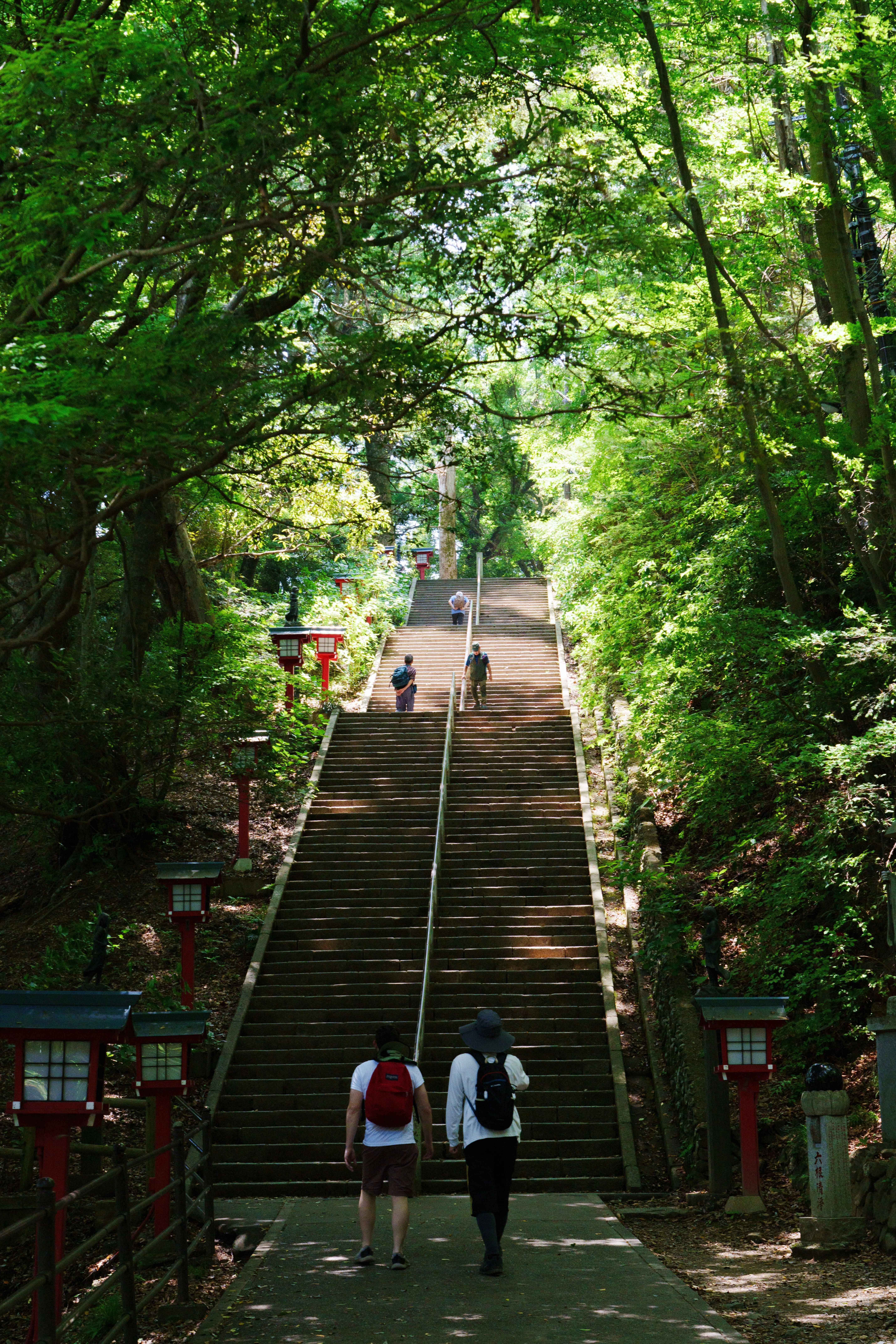 α7RV」✕「高尾山」｜まえばつよし