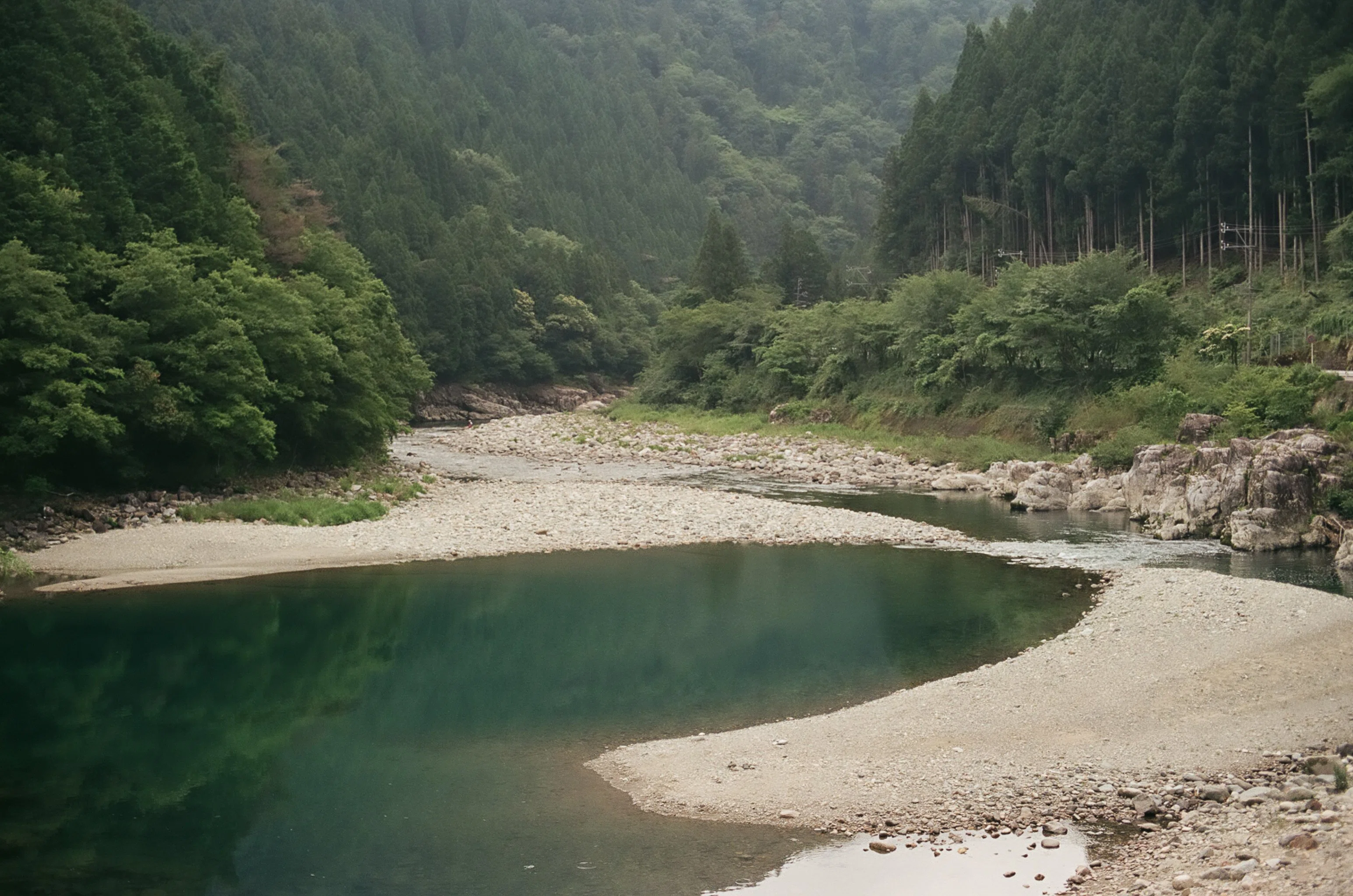 岐阜のあじさい街道でフィルムカメラサイクリング ｜103