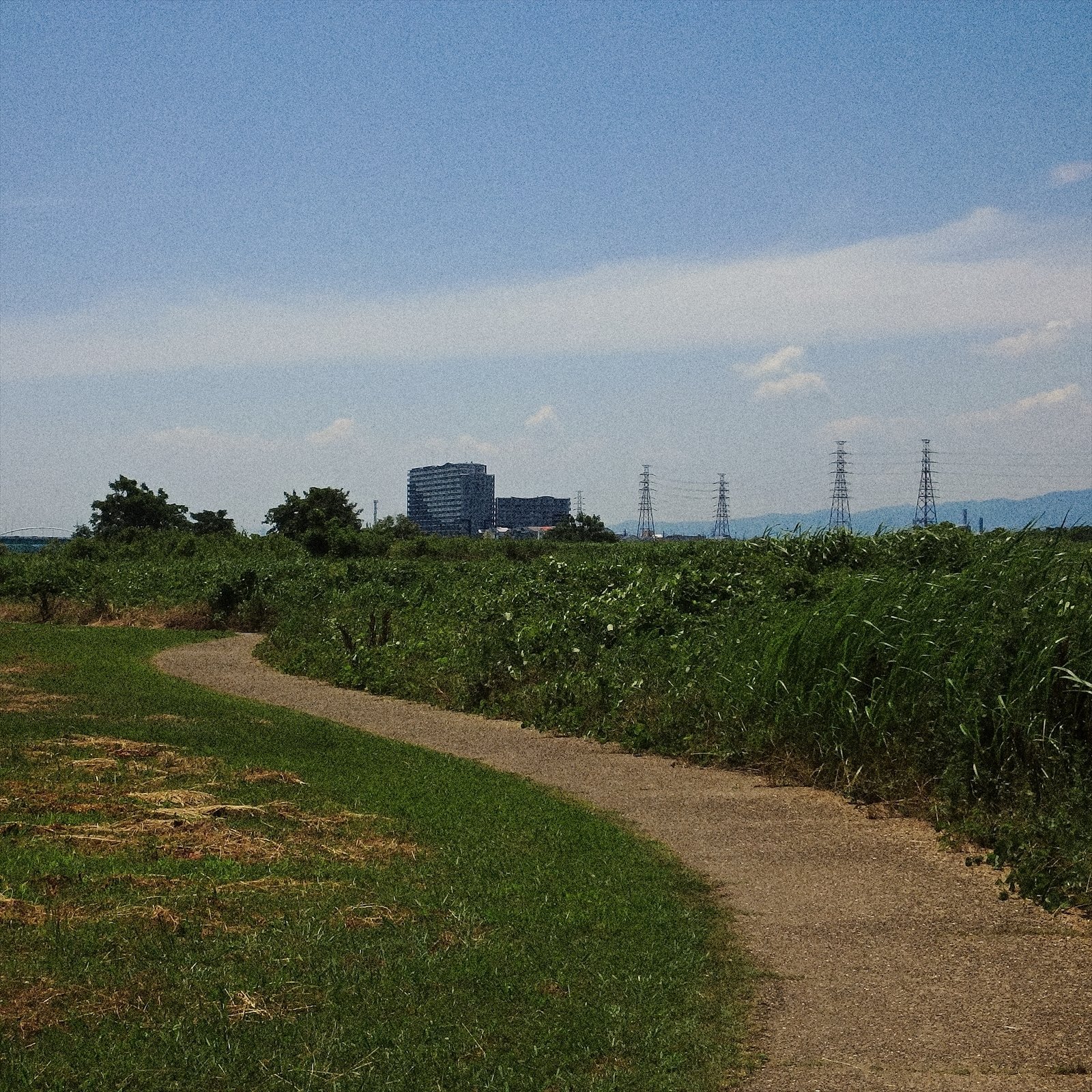 淀川の河川敷はミニマムな風景｜竹村稔の写真