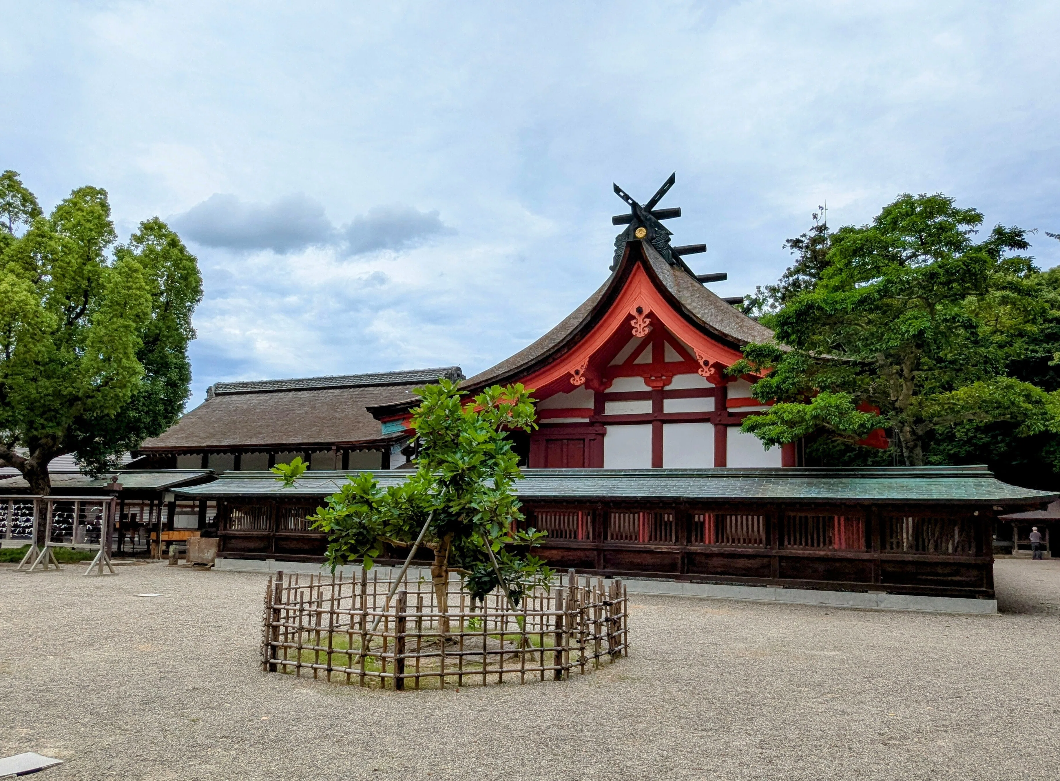 ばあばのさりげない日々】「夏至」なので宗像大社参拝⛩️タコは食べて