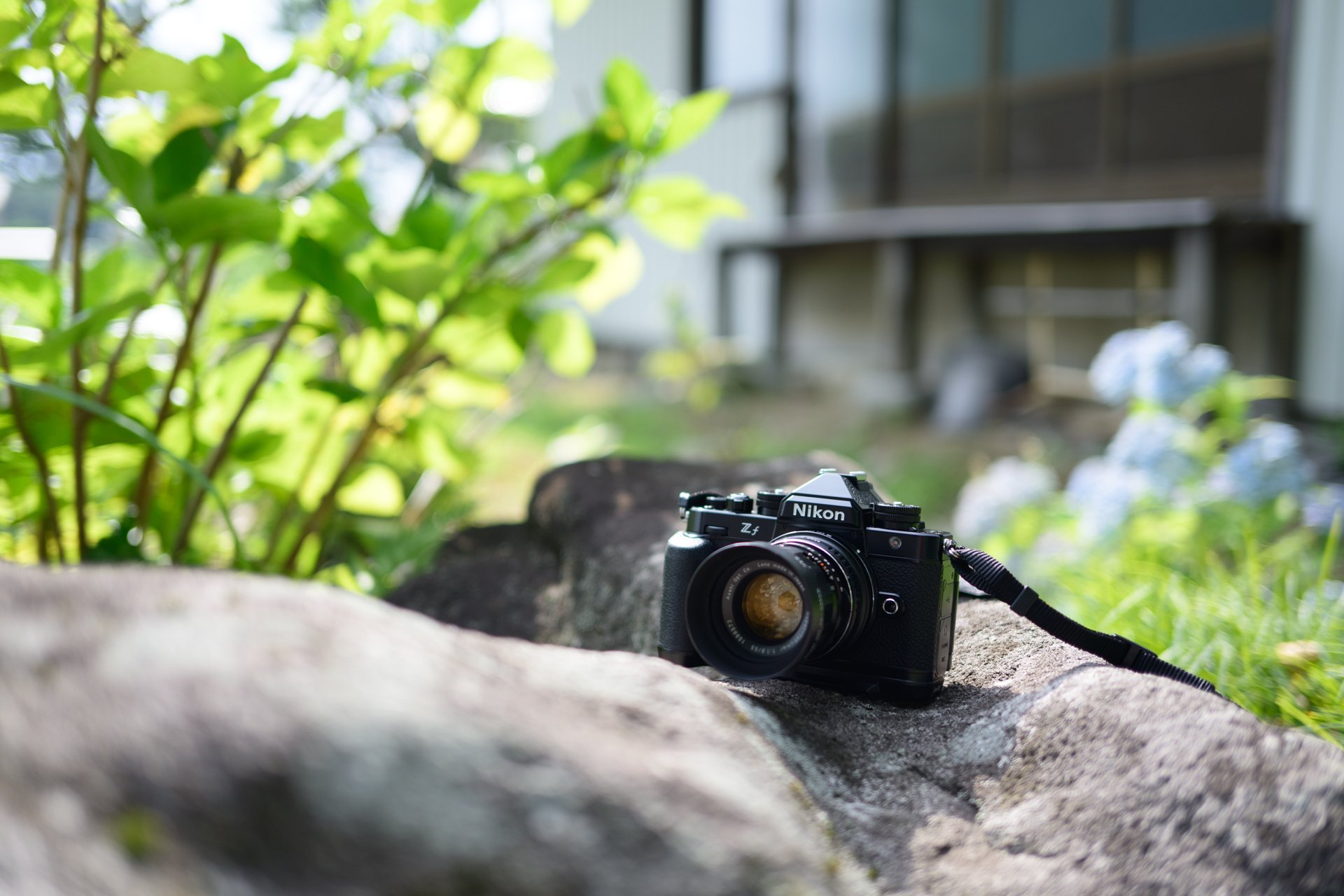 作例あり】Super-Takumar 55mm F1.8｜光を綴るnote