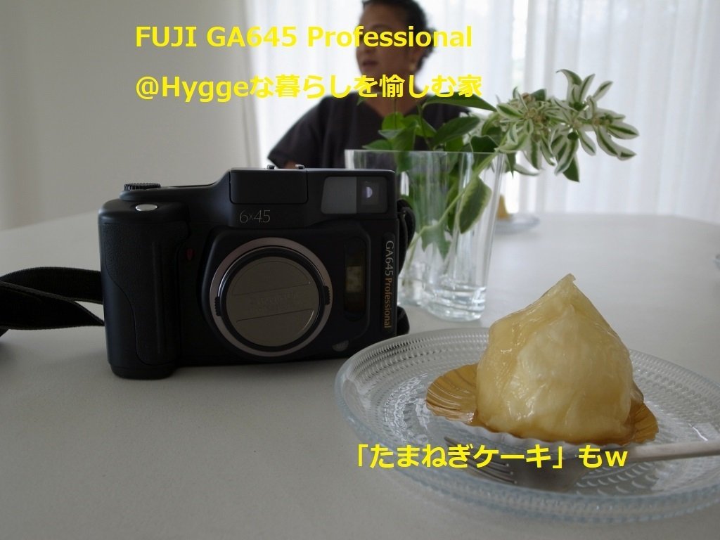 旅するカメラ FUJI GA645＠徳島県 乗り鉄撮り鉄ver. またフィルム