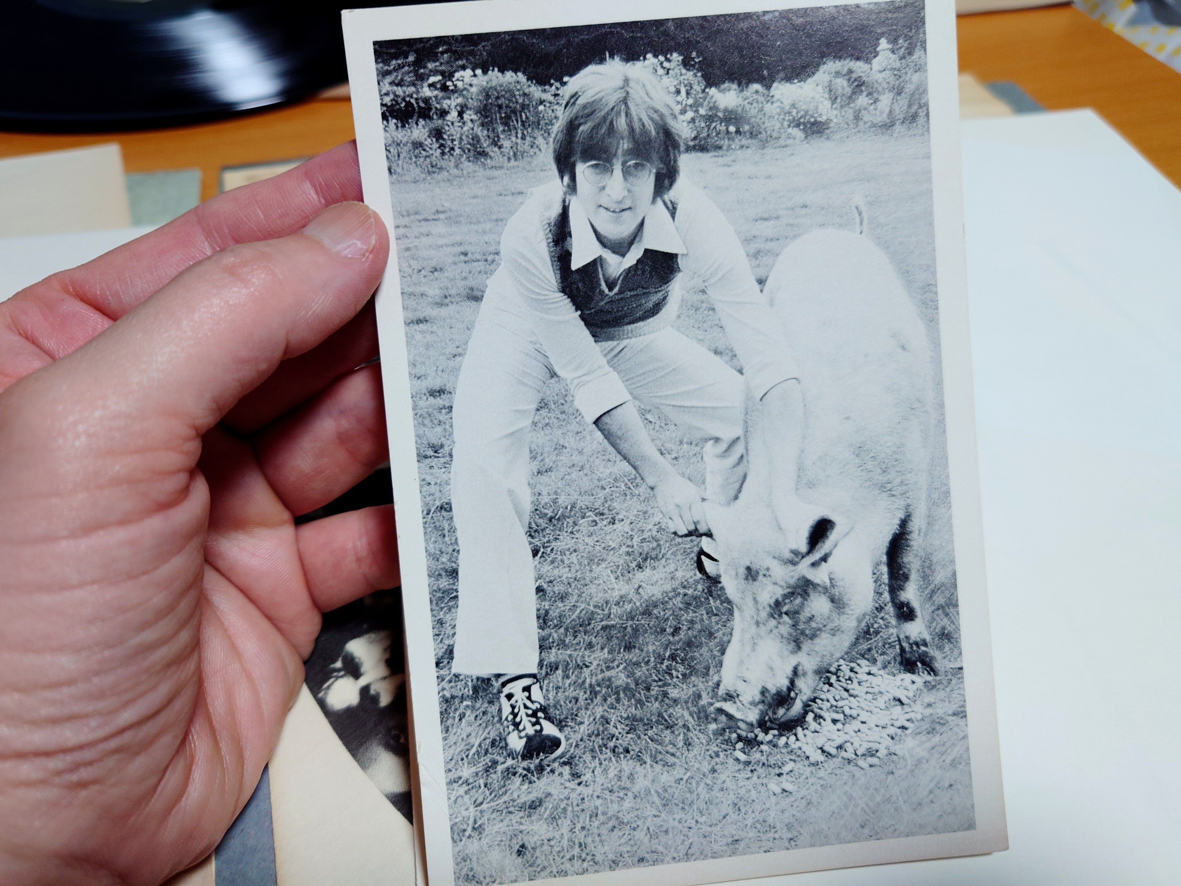 お猿のカードなイマジン｜音(おと)