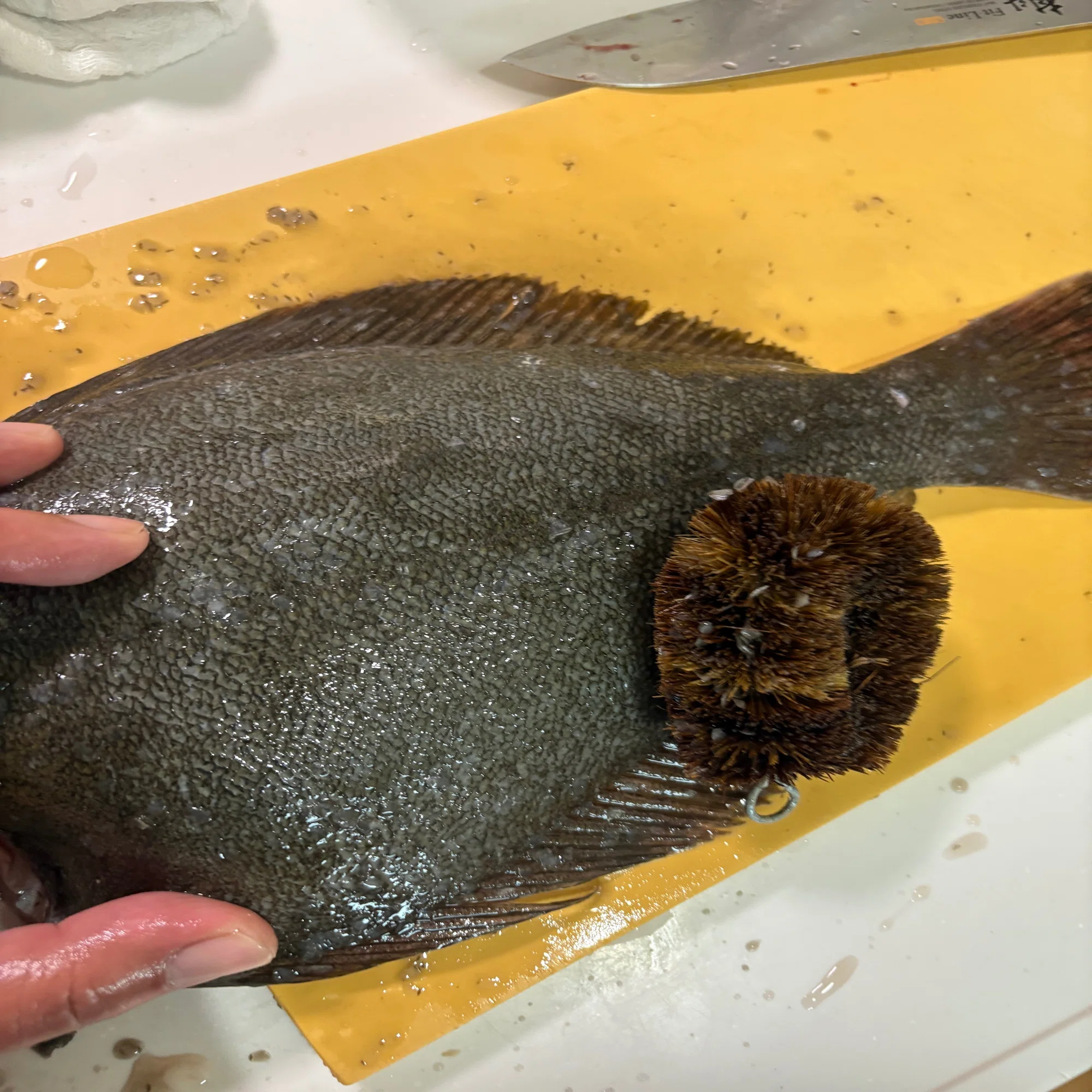 I saw a whole flounder for sale at the supermarket, and for some 