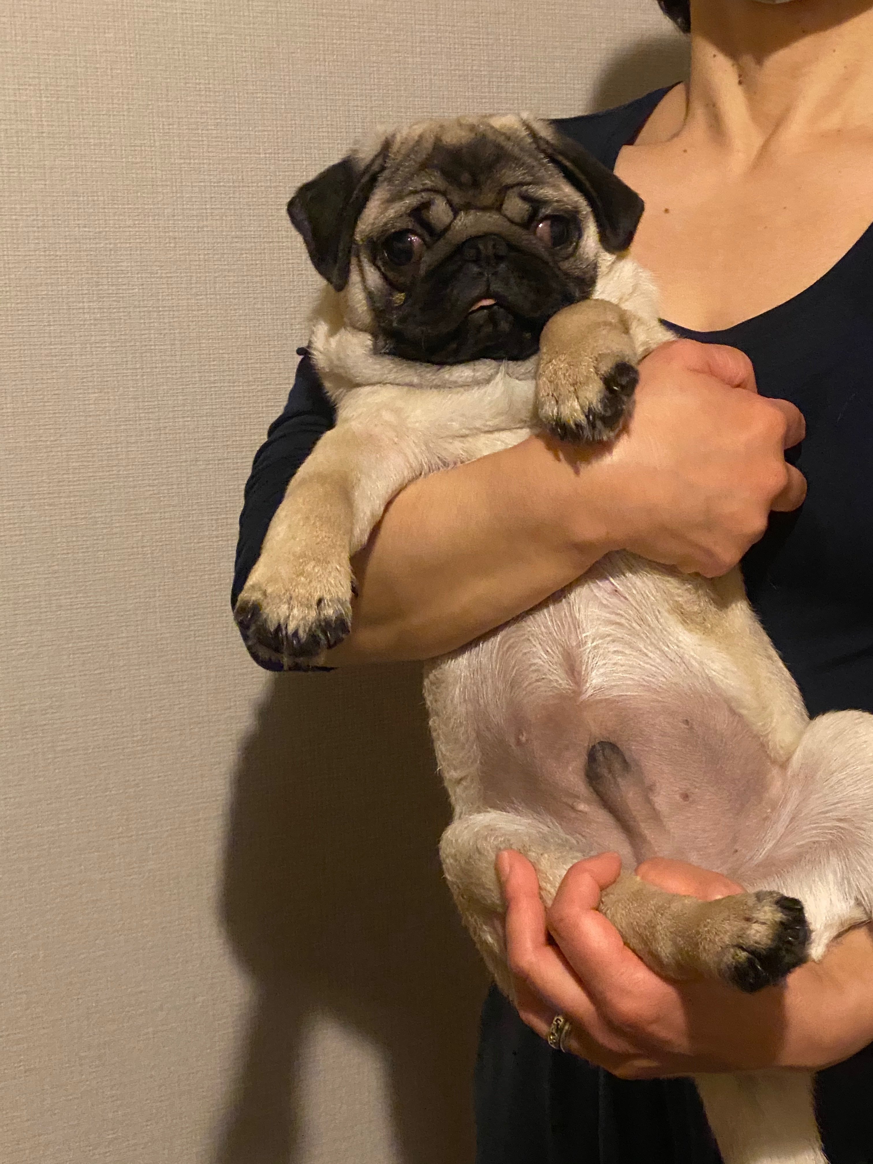 自己紹介(ネプ)｜Nepu_Piko