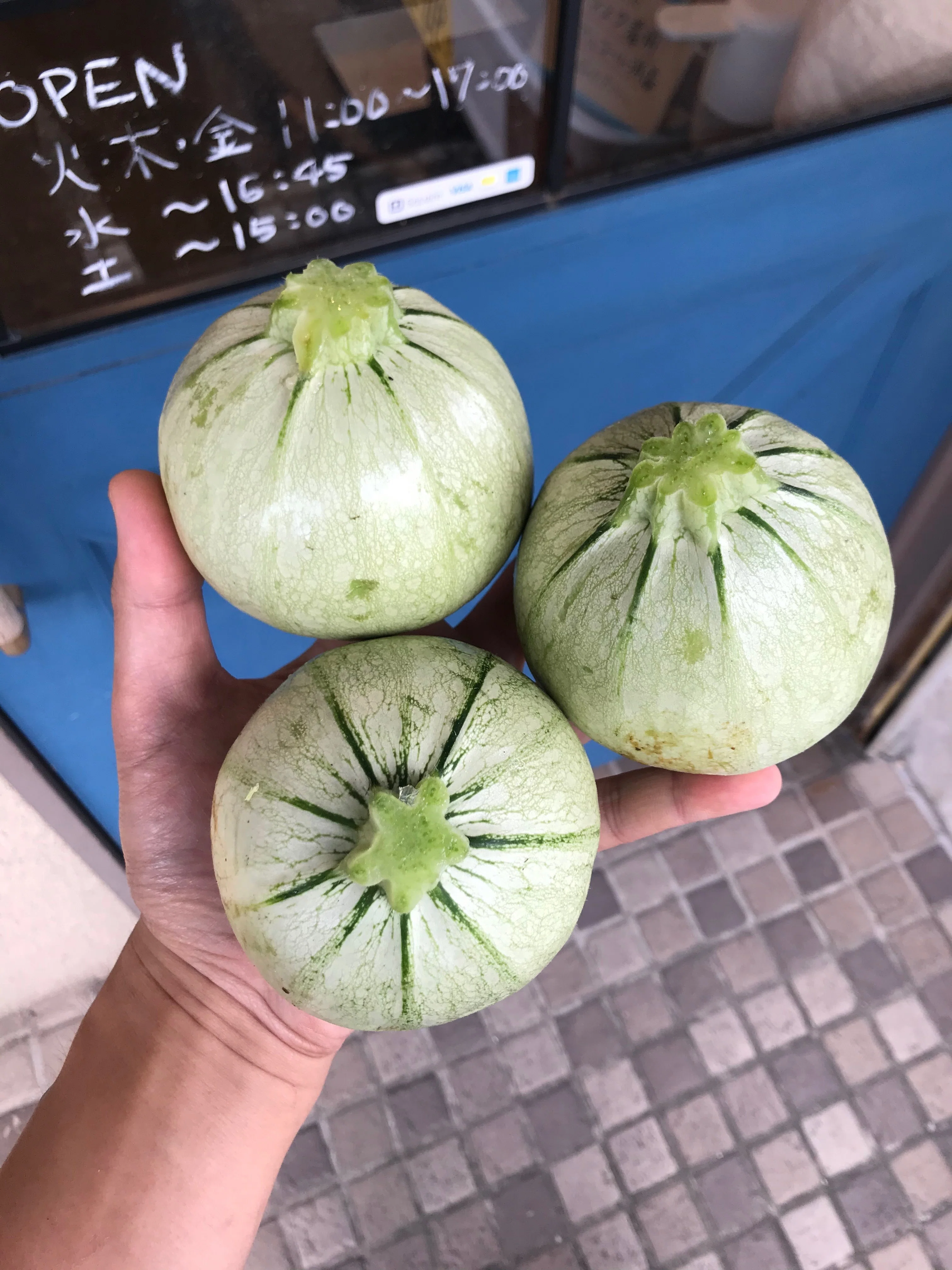 やさいのこと。「ズッキーニ」｜やさいとせかい めぐる八百屋オガクロ