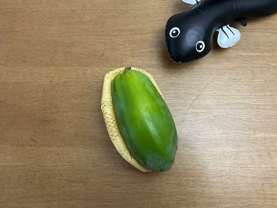 このパパイヤ、どこ産でしょう？？？ “晴れの国”からきた玉手箱