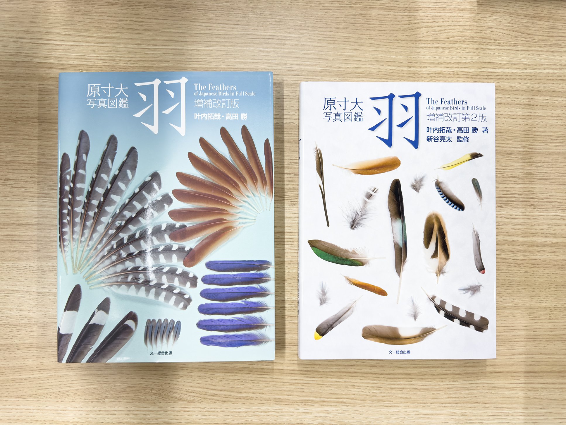 原寸大写真図鑑 羽詳細情報【野鳥】 - 図鑑.jp