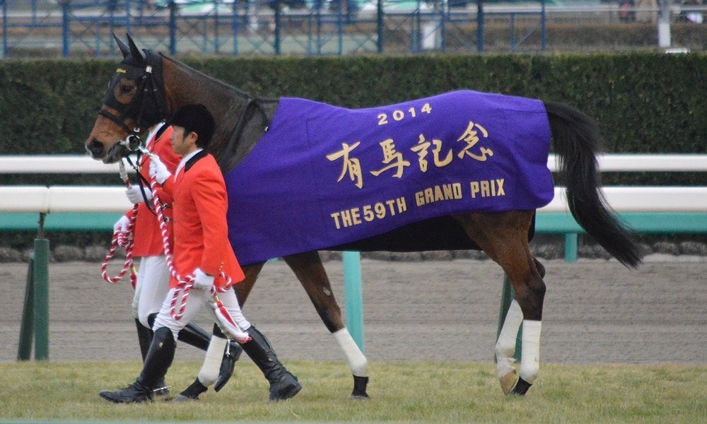 ジェンティルドンナ｜BarracudaKing