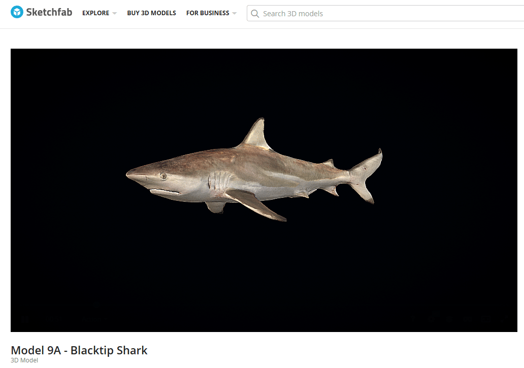 【レア即完売品】H&O SC WING TOP 50 / SHARK サメ レア即完売品】H&O SC WING TOP 50 / SHARK サメ レア即完売品】H&O