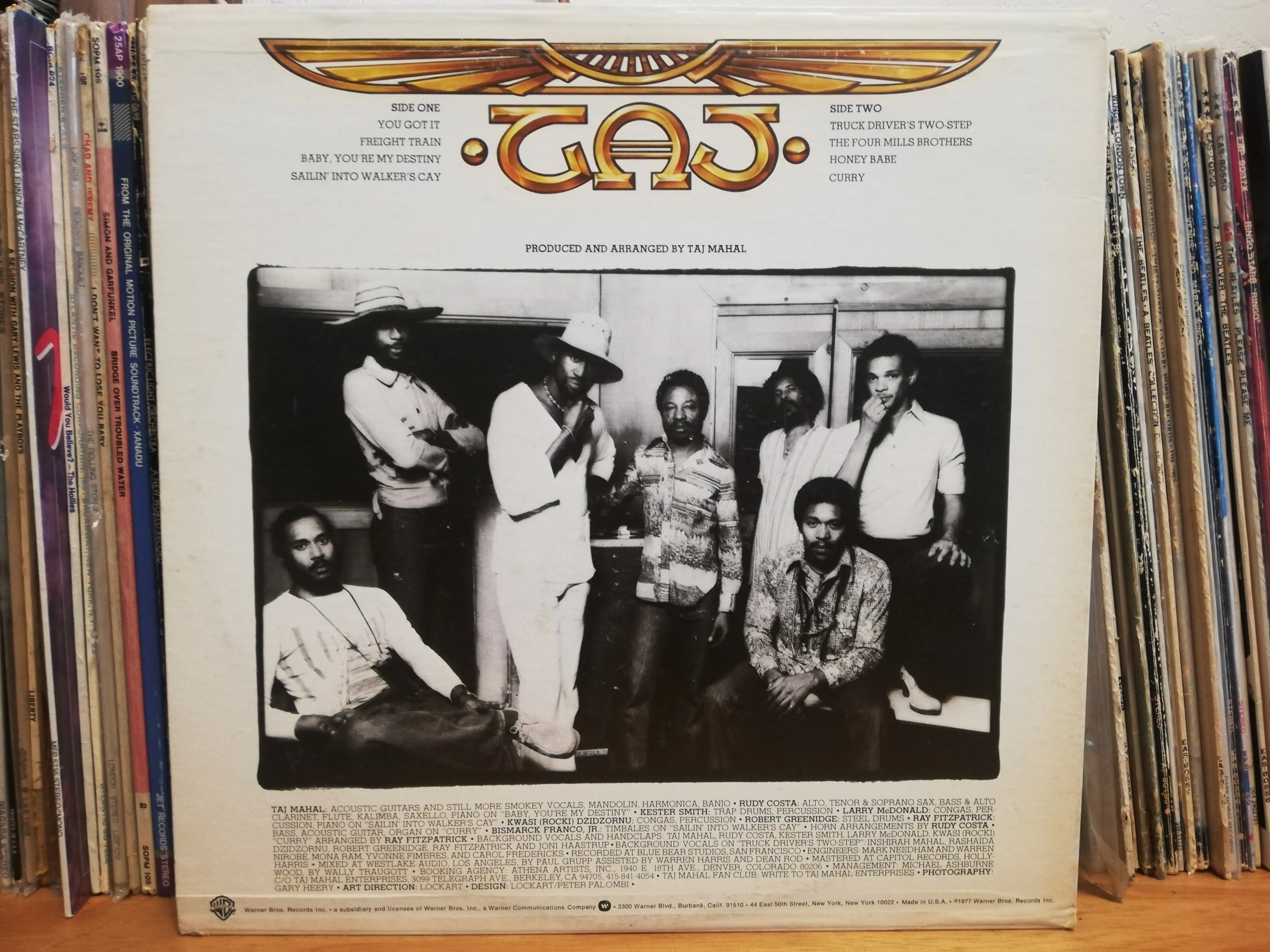 これを名盤と呼ばずして：Taj Mahal「Music Fuh Ya'」｜ごあ（宇宙で