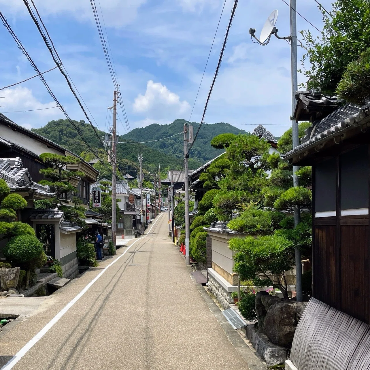 奈良から山越え、大阪へ 二上山・竹内街道を歩く｜美術館とお寺と猫