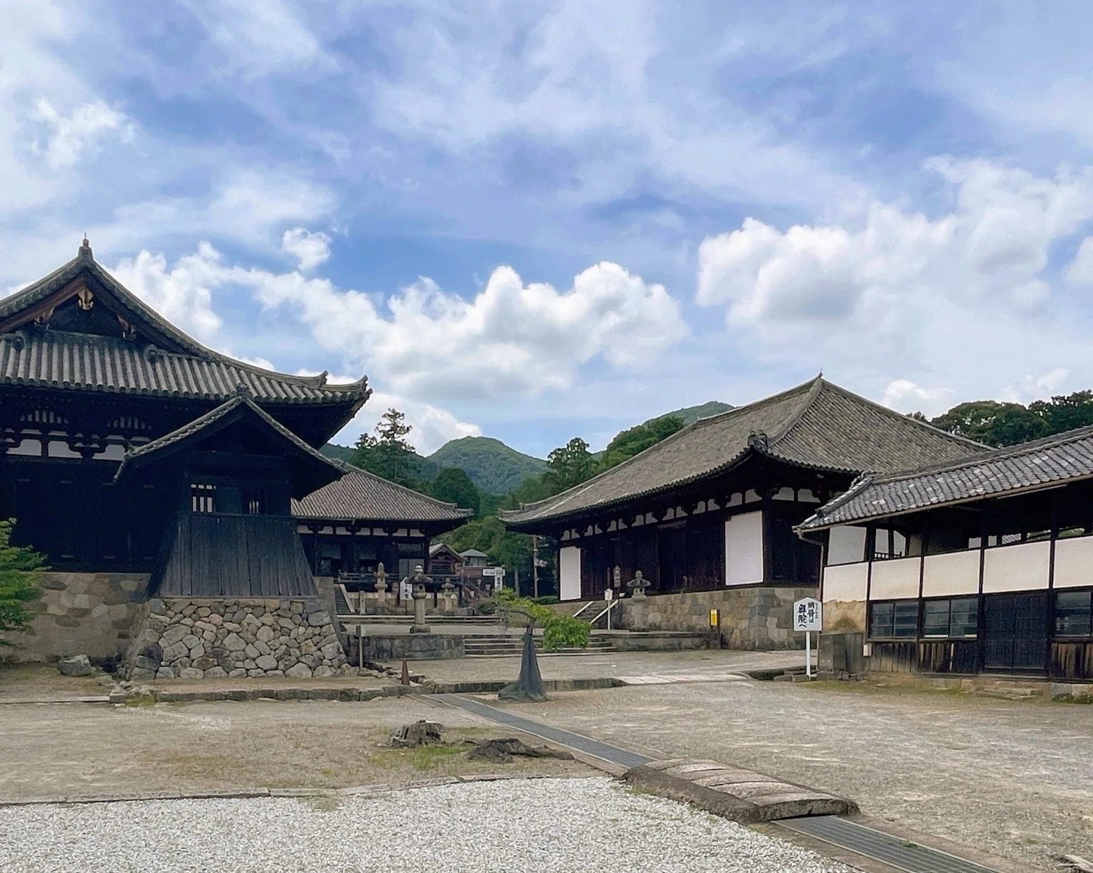 奈良から山越え、大阪へ 二上山・竹内街道を歩く｜美術館とお寺と猫