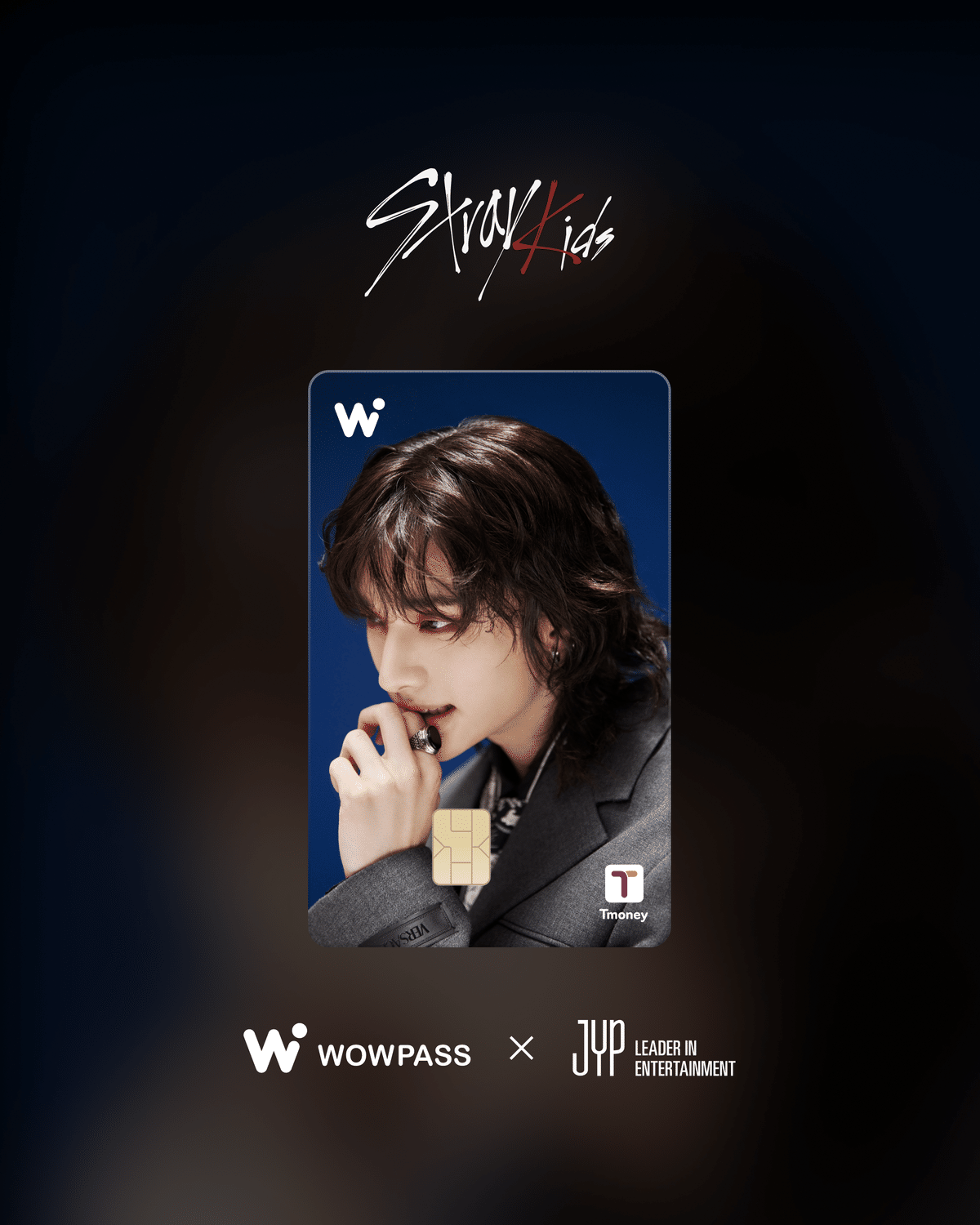 Stray Kids×WOWPASS 9枚セット スキズ　ワオパス Stray Kids×WOWPASS 9枚セット スキズ ワオパス（Stray Kids