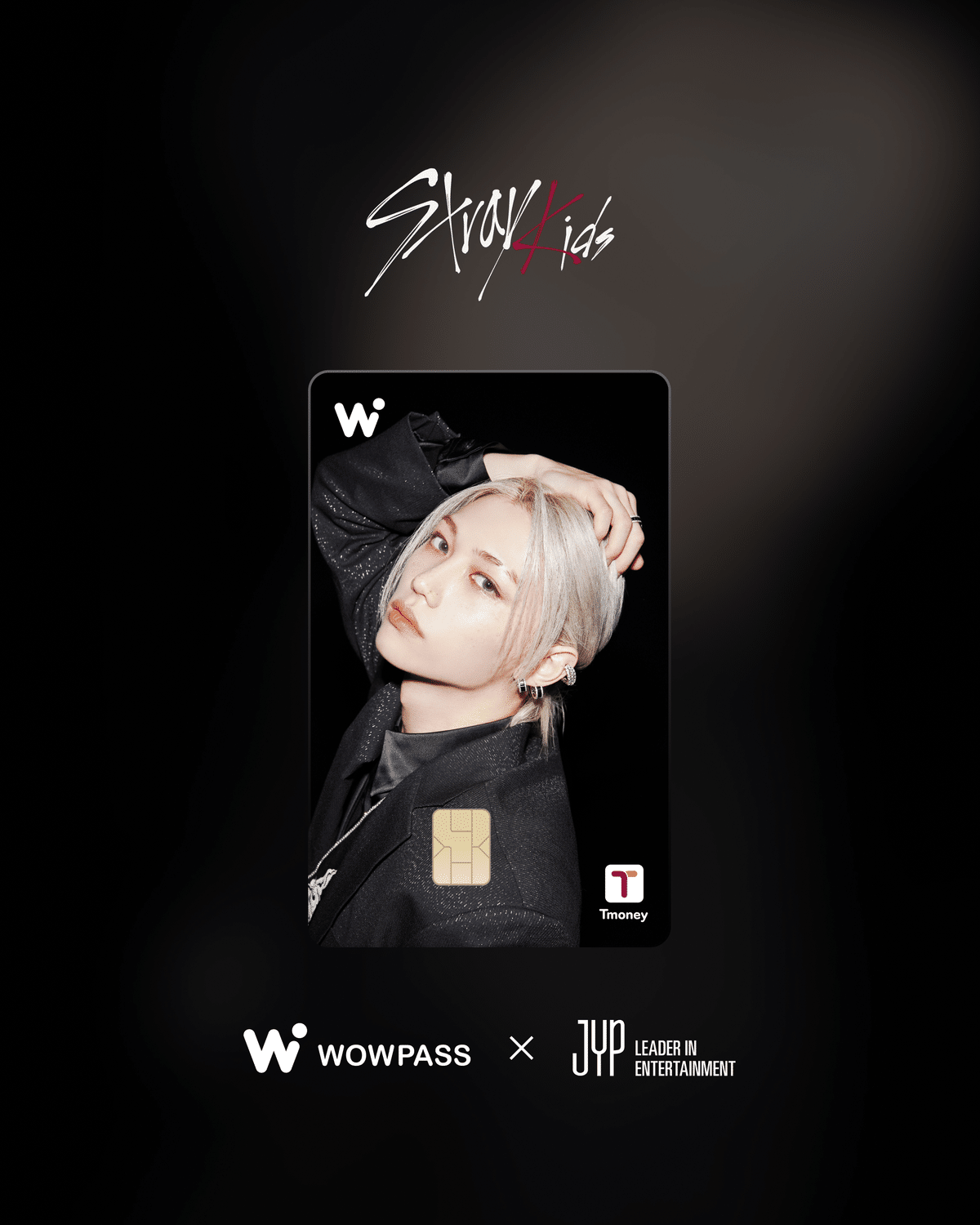 Stray Kids WOWPASS Limited Edition 9枚セット - メルカリ