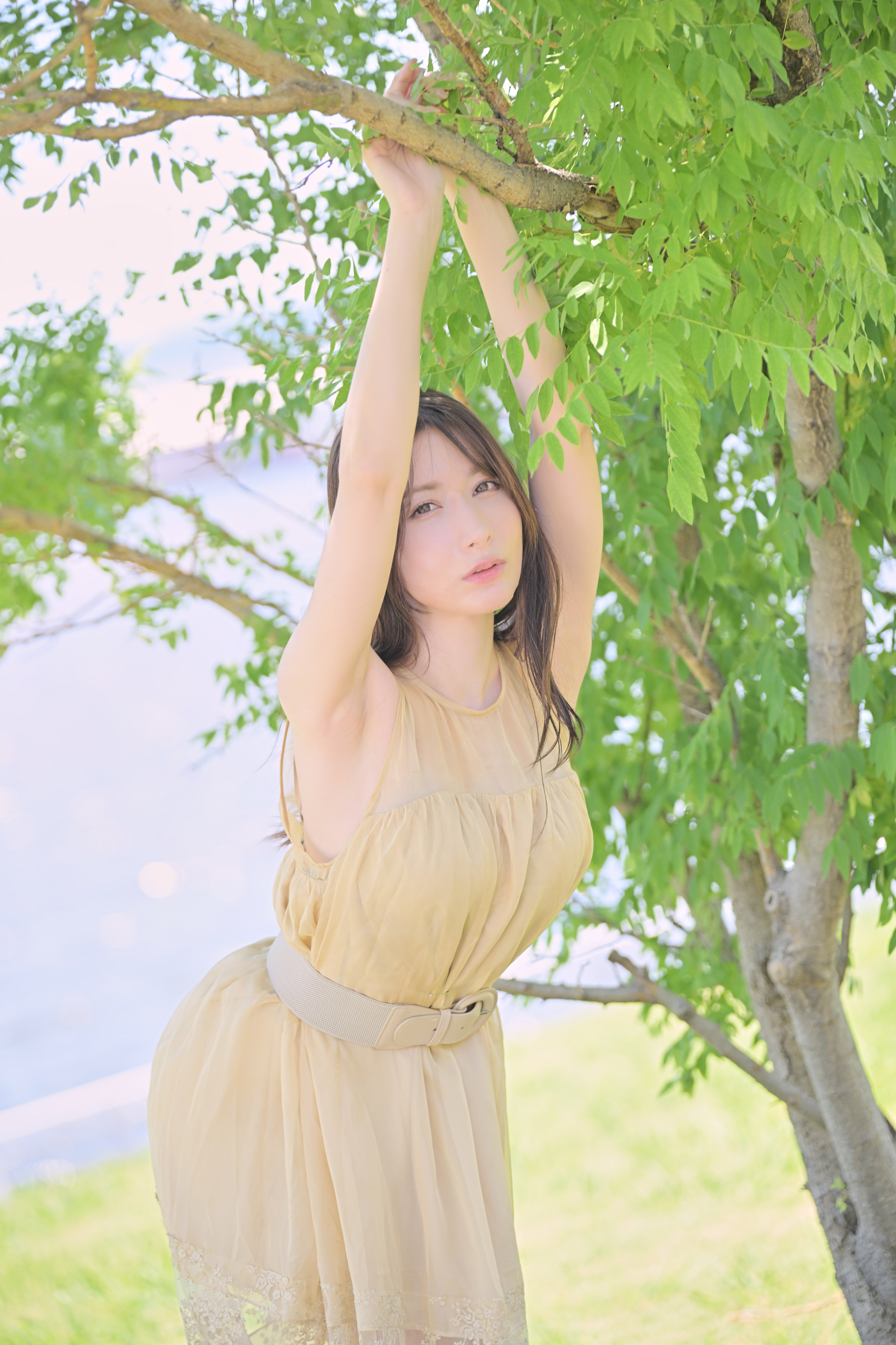 百合川サシャ さま （ Z9 : Tamron 35-150mm F/2-2.8 ）｜シェル