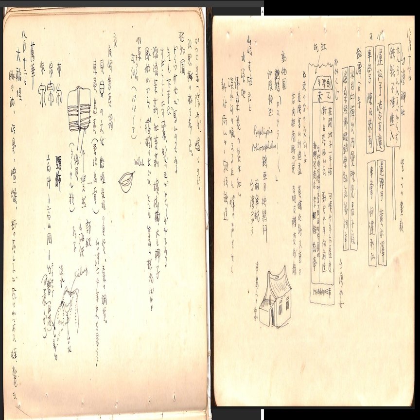 田中克己日記② 1933-1939 『夜光雲』9-11巻｜「四季・コギト・詩集ホームぺージ」ブログ