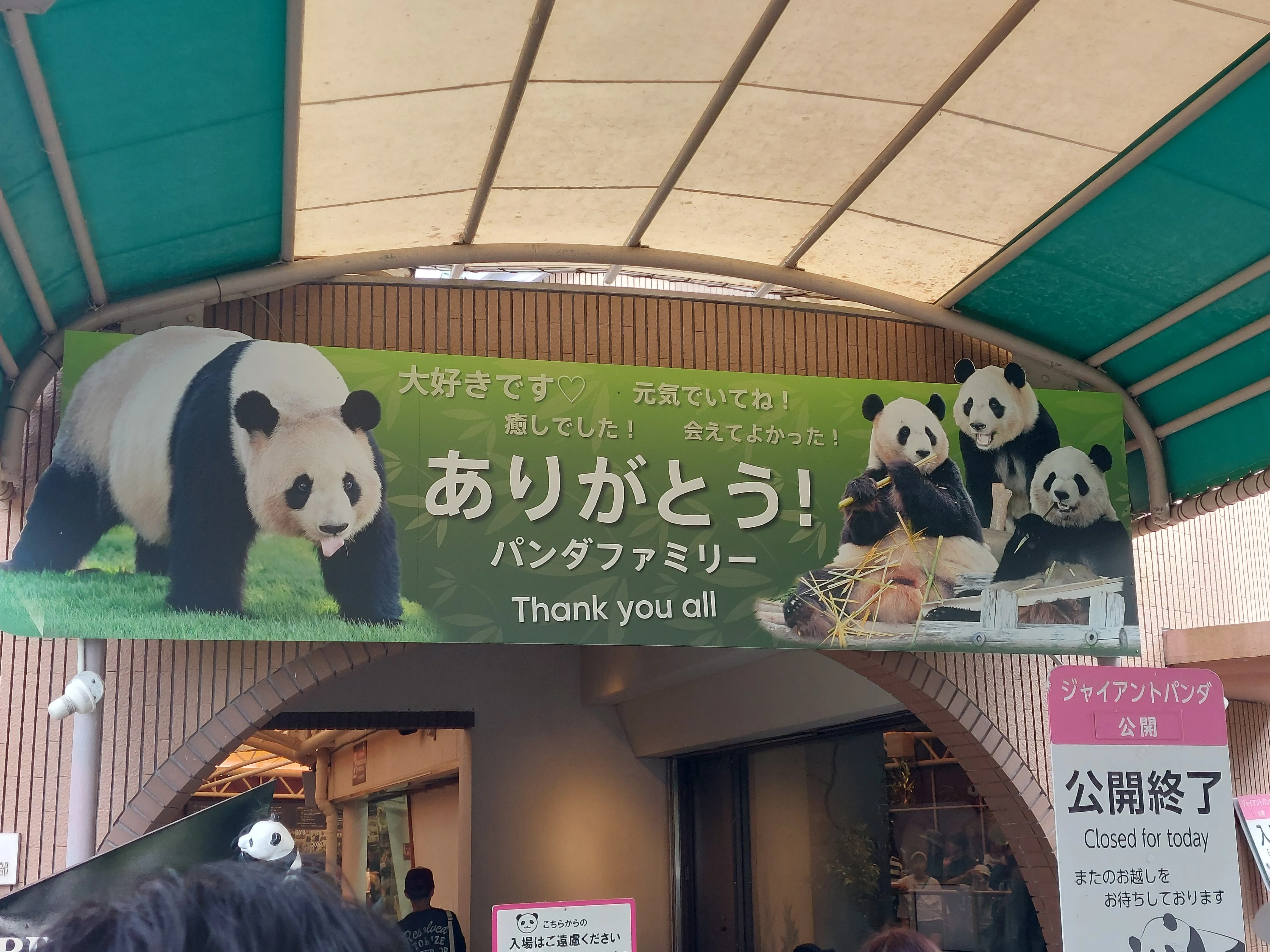 To Shirahama to See Off the Panda Family - Looking Back on