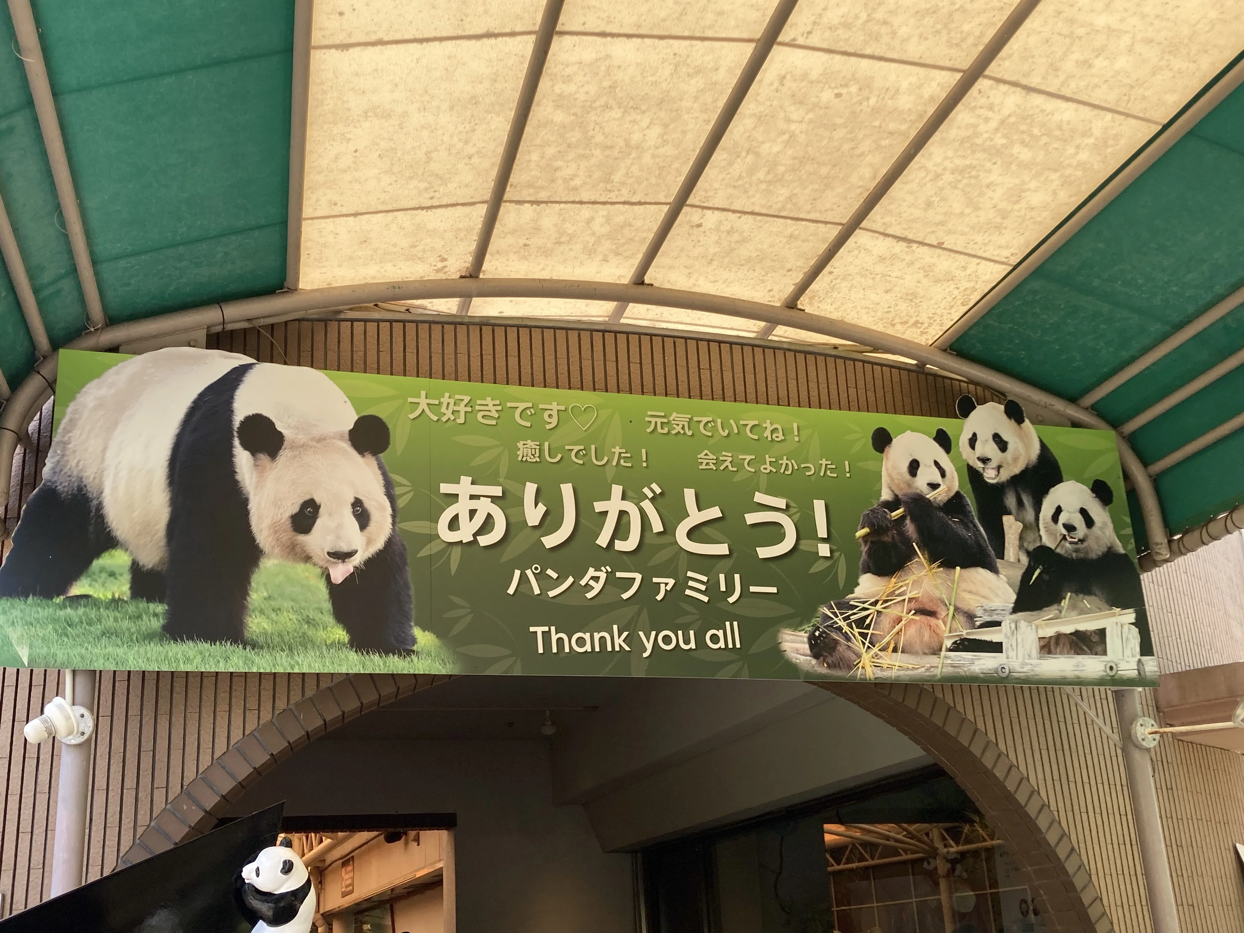 I went to see the panda family off｜tama：旅と動物、時々