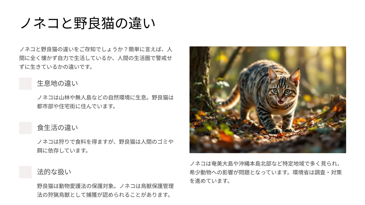 ノネコと野良猫の違い~その境界を生きる外猫たち~|猫様とごはん