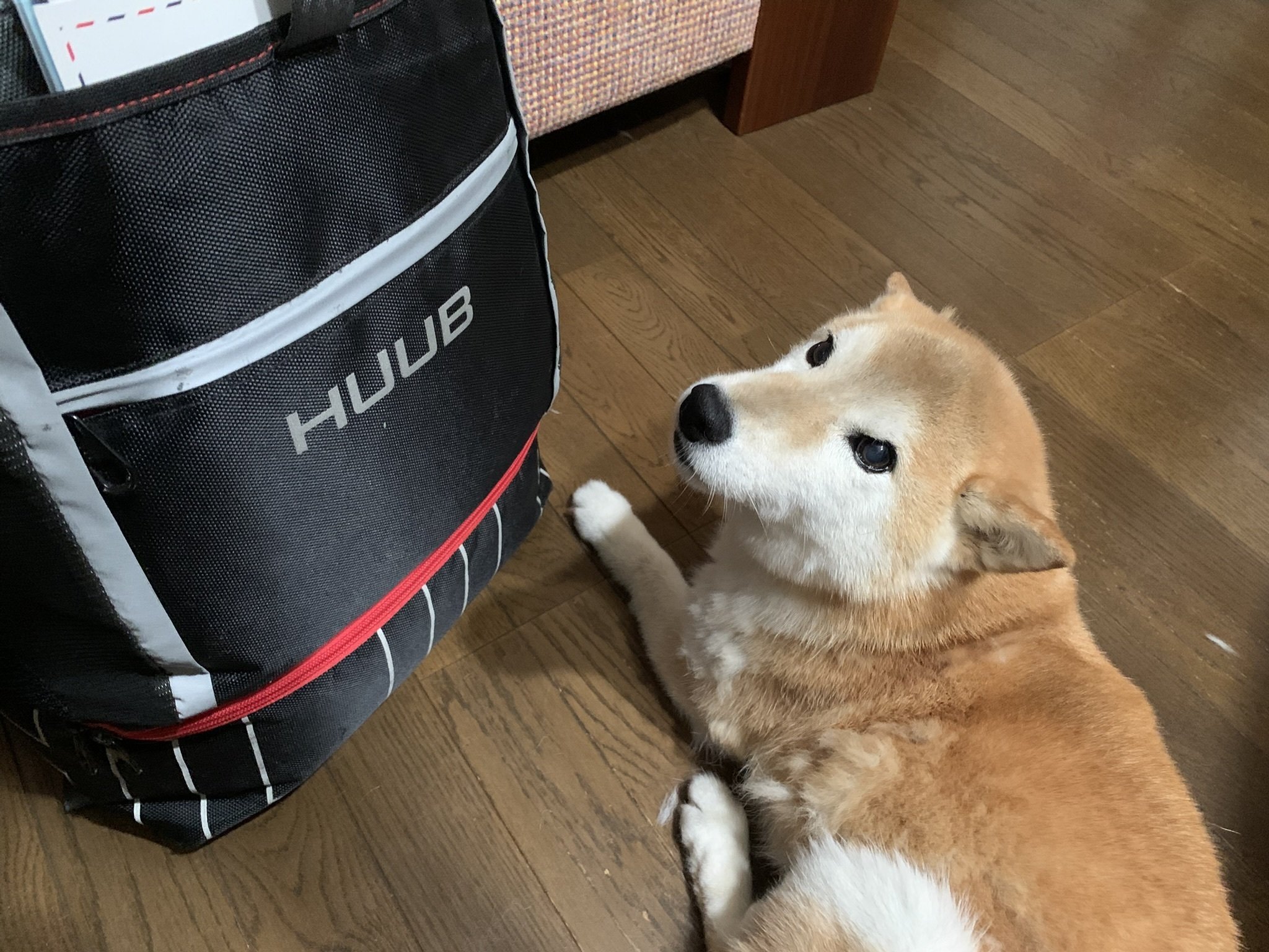 バラモン】2025五島トライアスロンその⑥打ち上げ・帰宅編【キング