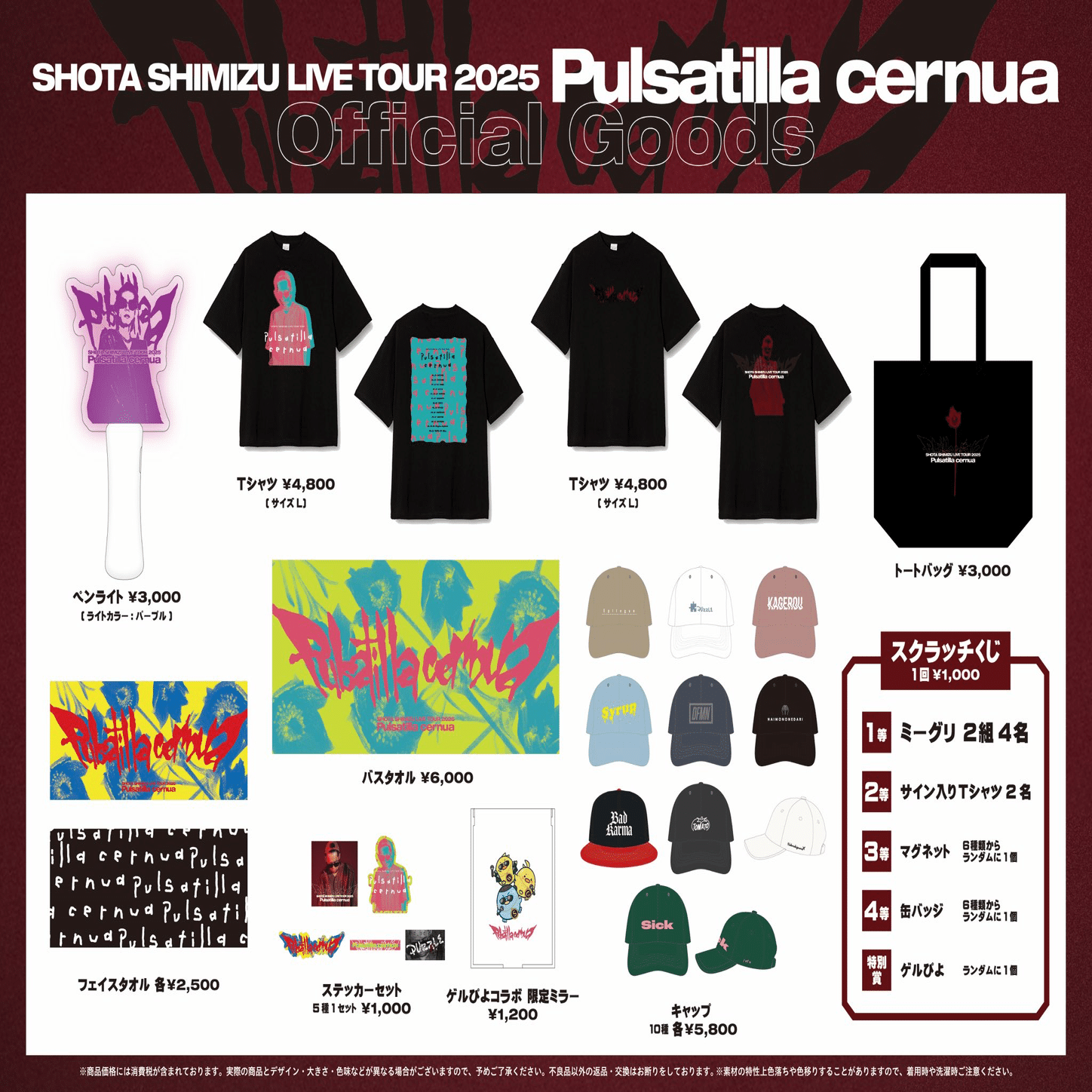 清水翔太 2025ツアー やることー！｜りり