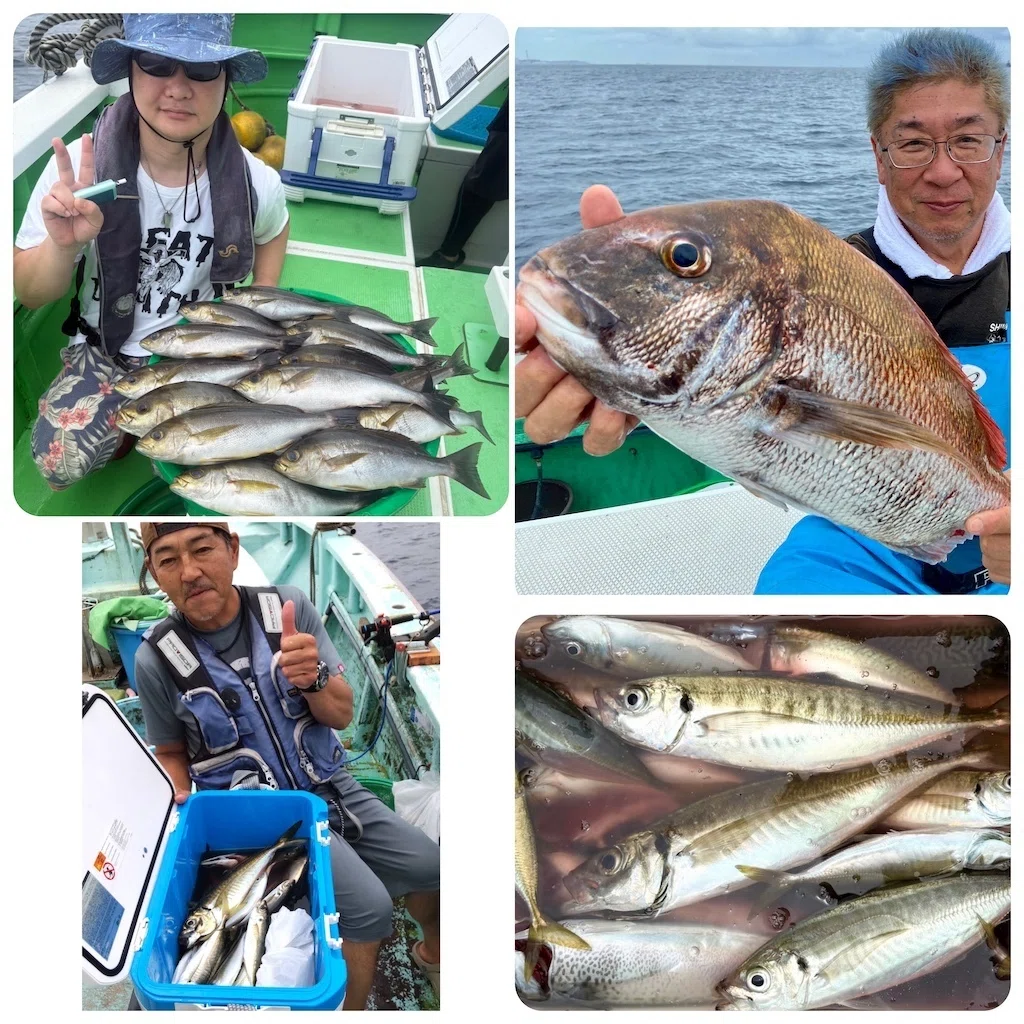 イサキ】トップ40匹【真鯛】最大2.5kg！【アジ泳がせ】泳がせバラシ