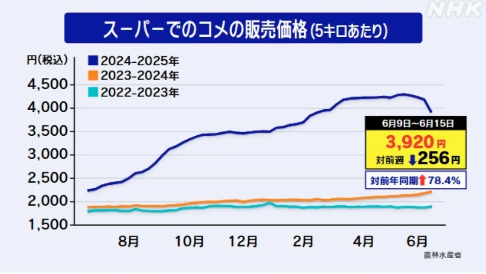 [Mathematics] The Price of Rice｜めがねとんぼ先生