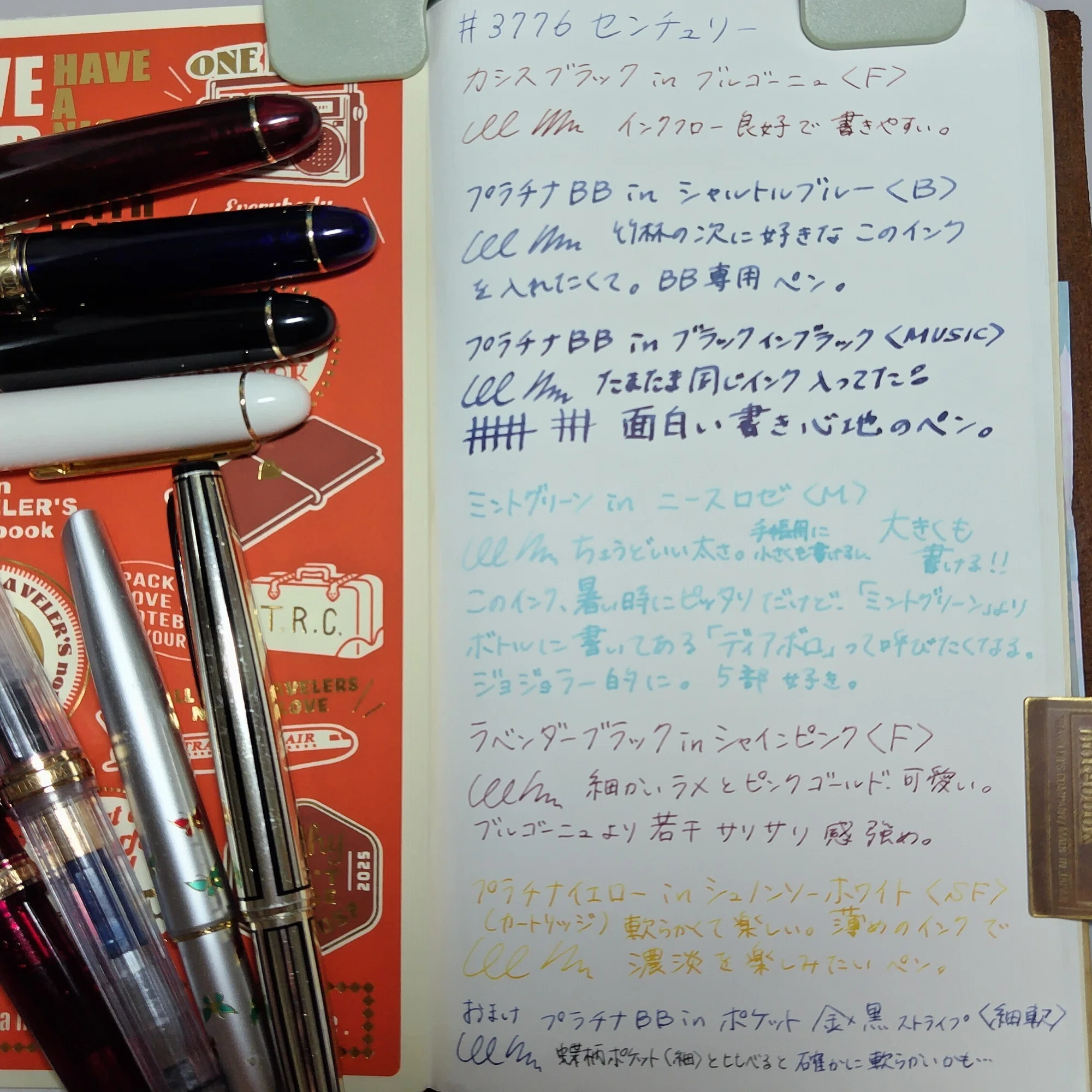 お気に入りの万年筆たち⑦#3776センチュリー｜咲くラビット