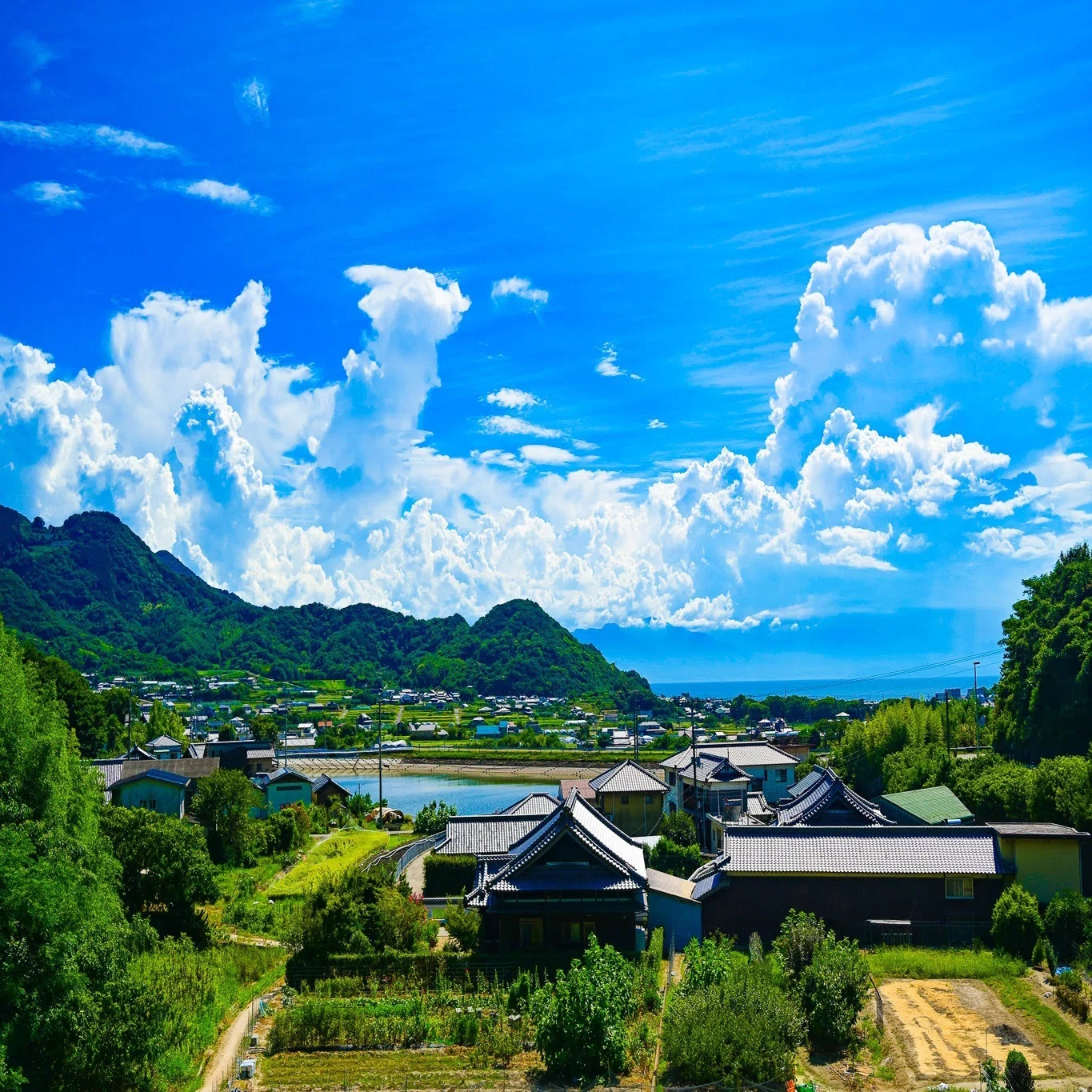 香川 県 三豊 市