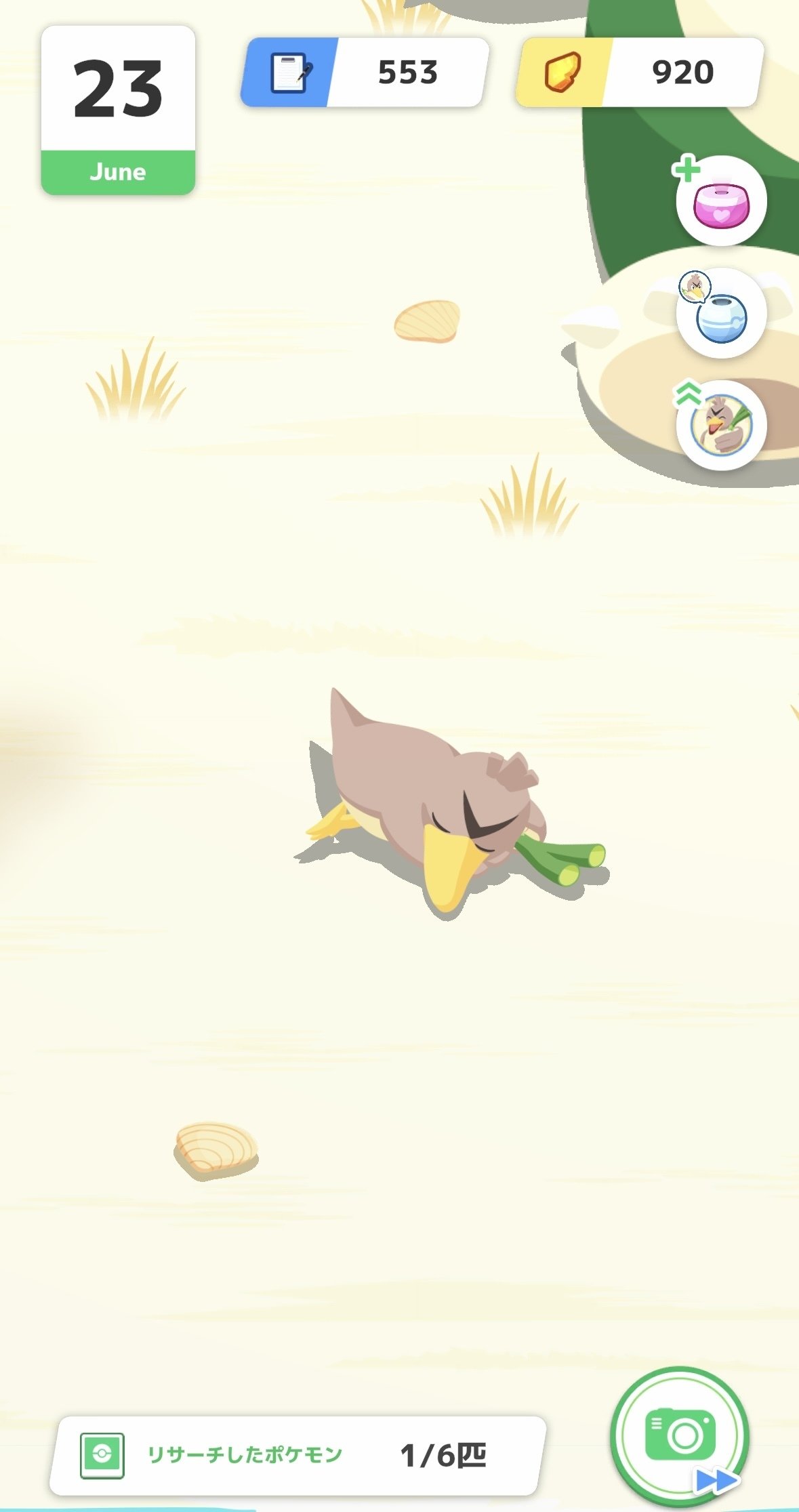 ポケモンウィークリー　まとめ 2025/7/22のポケモンプレゼンツ（Pokémon Presents）のまとめと