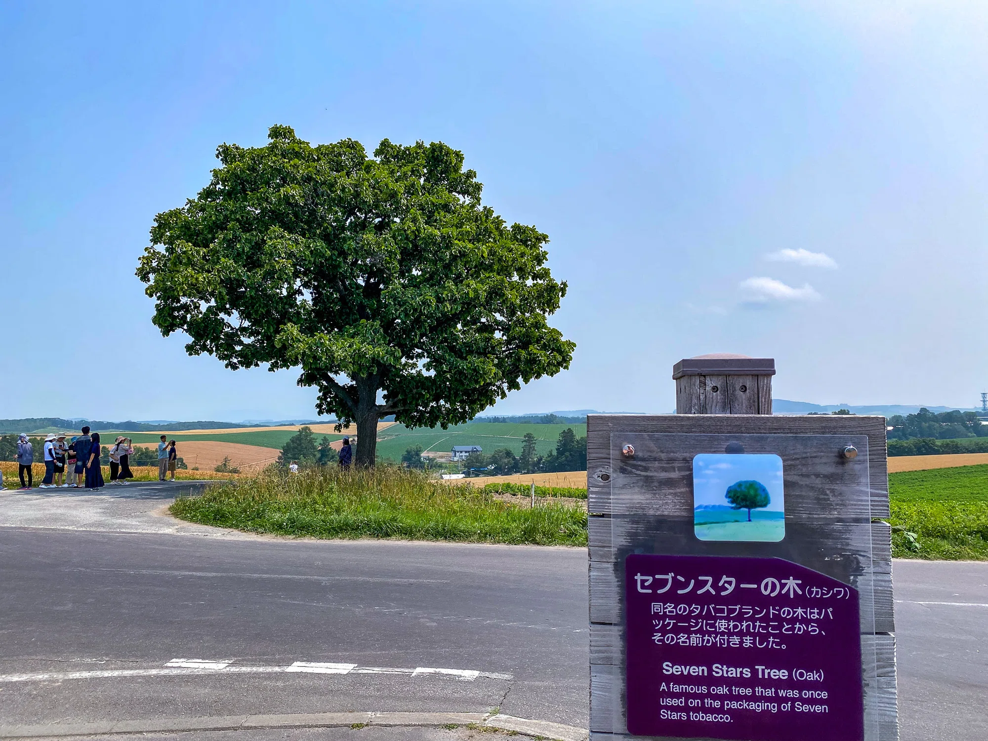 活動歴および当時の関連ビジュアル記録