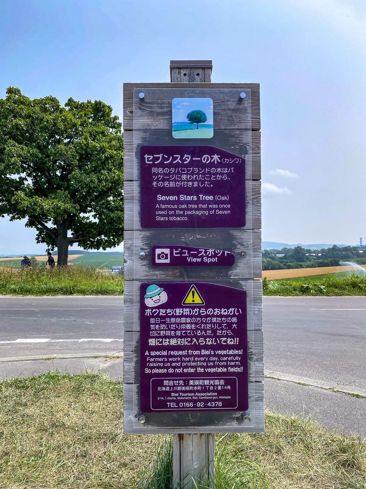 セブン スター の 木 駐 車場