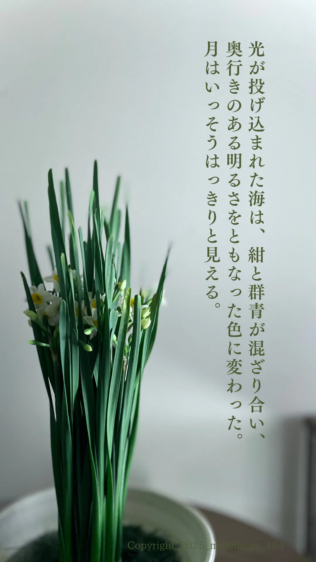 水仙|花×名作一文ダイジェスト｜千花物語