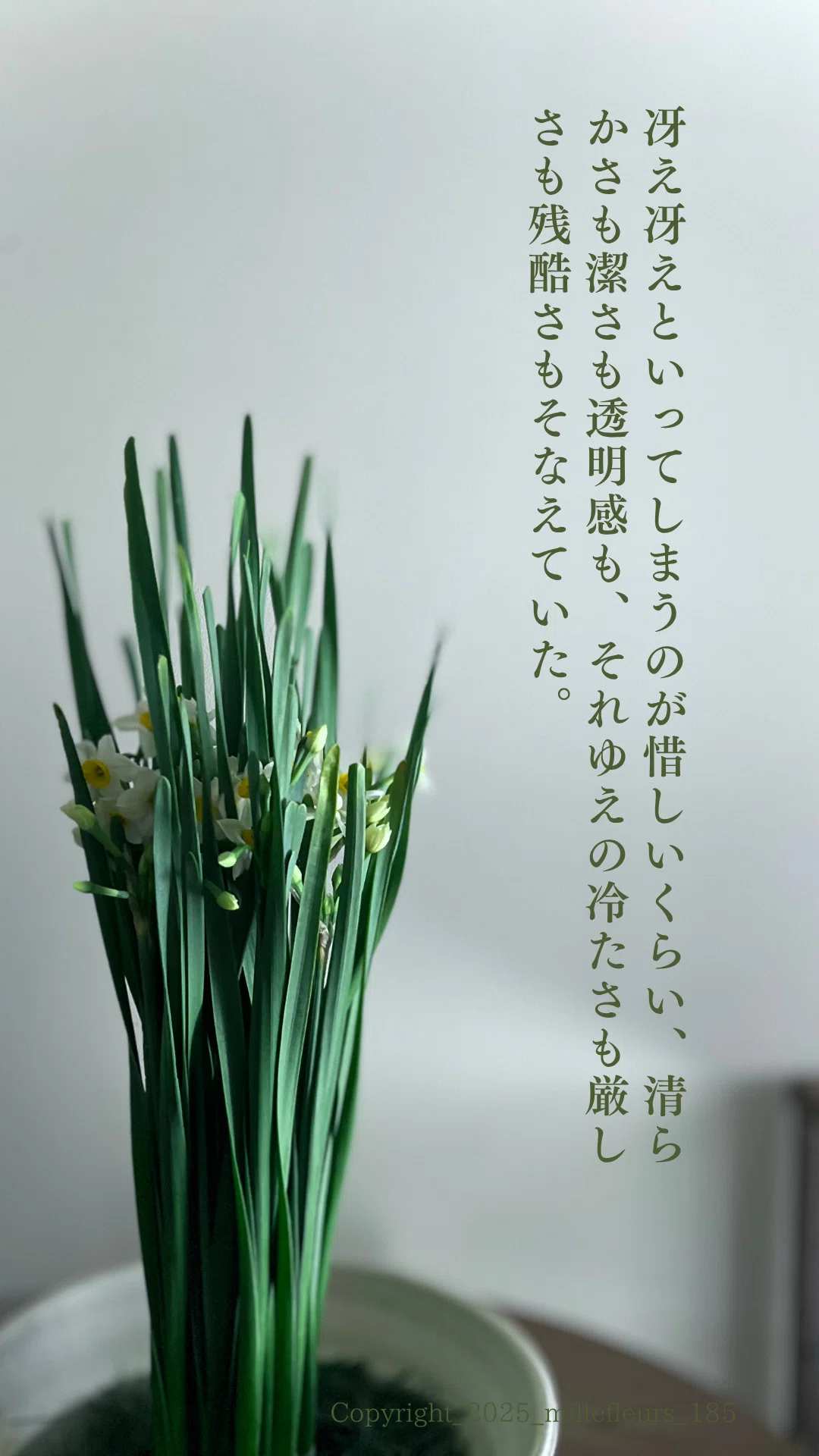 水仙|花×名作一文ダイジェスト｜千花物語