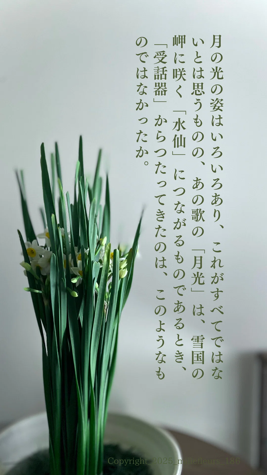 水仙|花×名作一文ダイジェスト｜千花物語