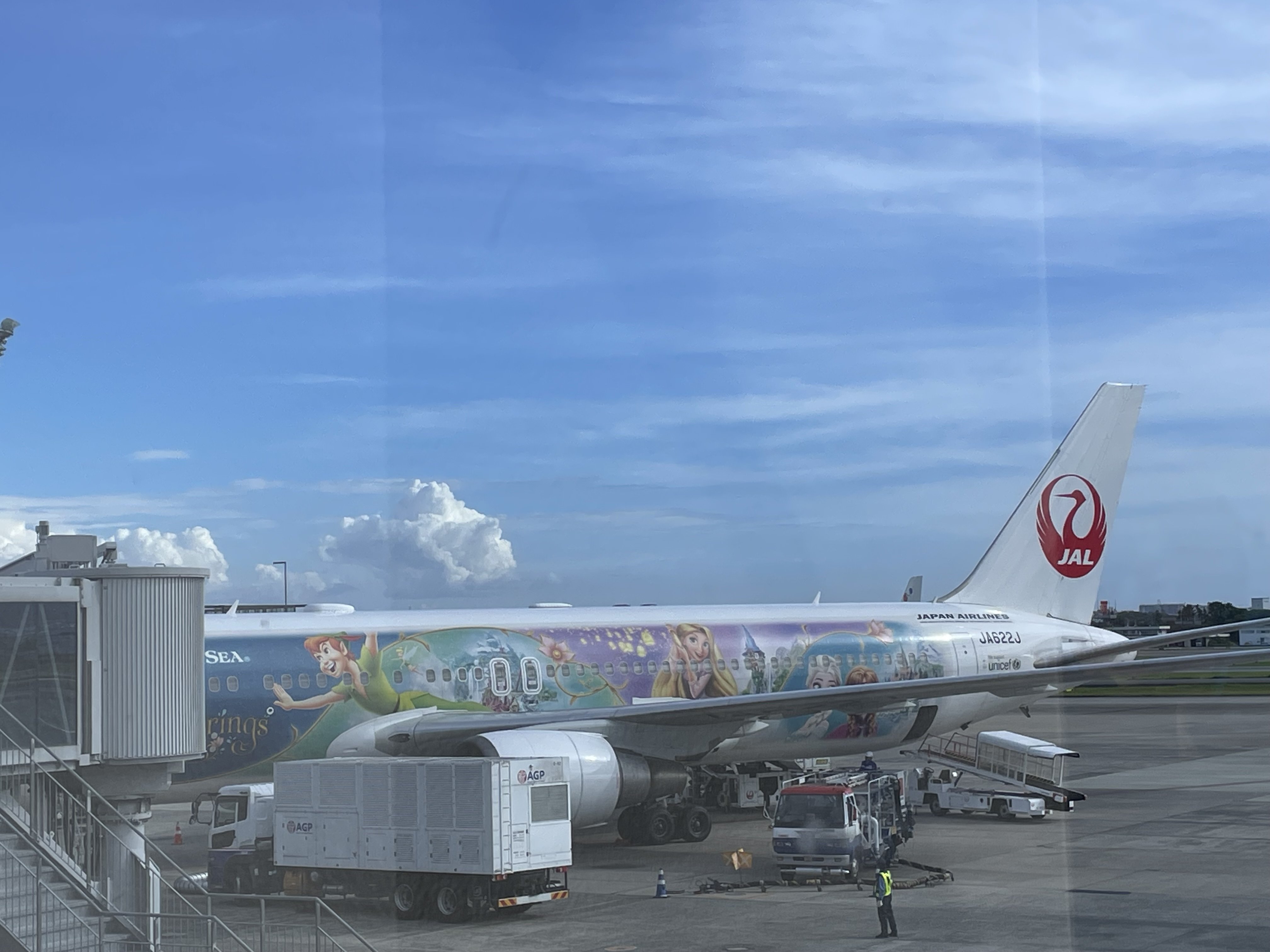 JAL特別塗装「Fantastic Journey Express」に乗れたおはなし｜haru