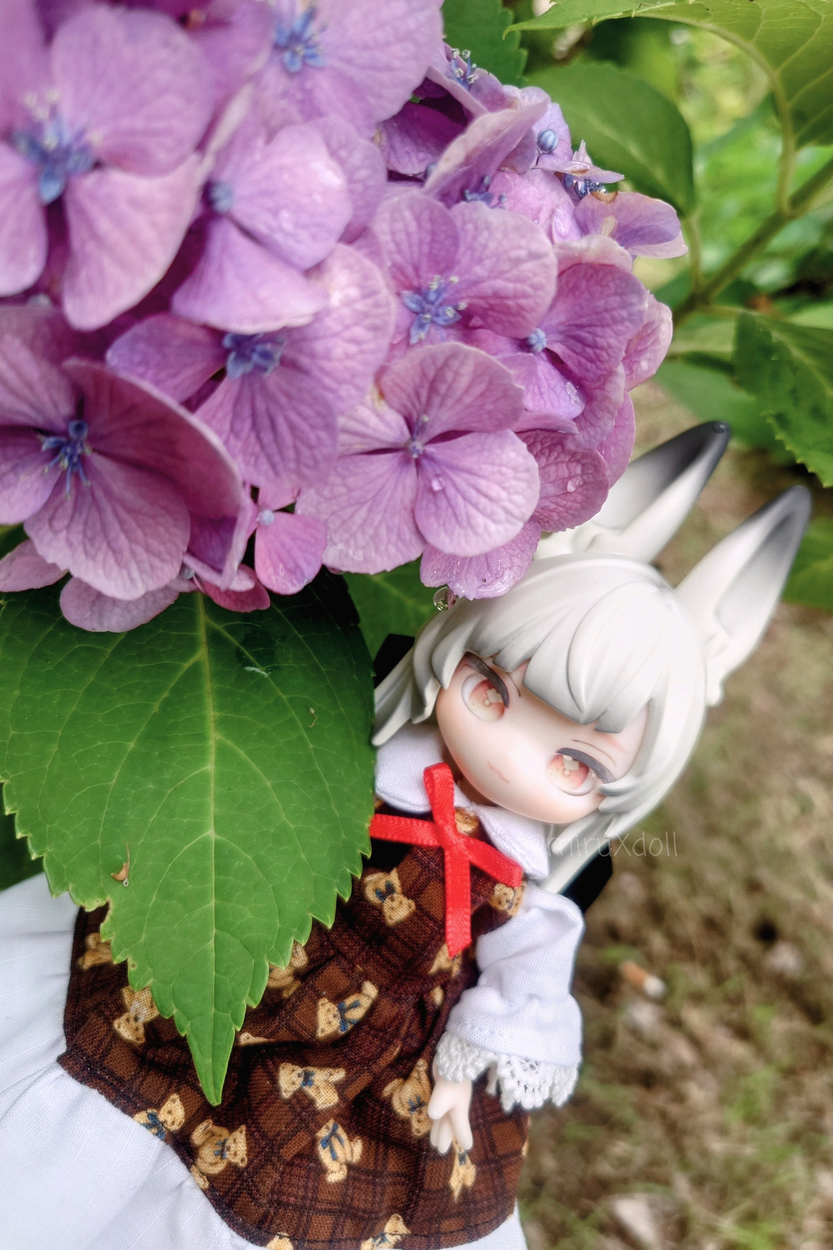 我が家のドール紹介(更新11/9)｜みるふぃーゆ*