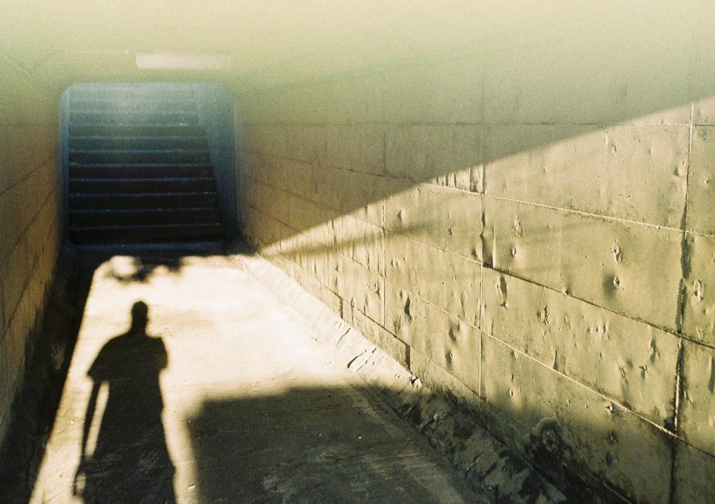 作例】OLYMPUS PEN EE-3（ハーフフィルムカメラ）①｜ken