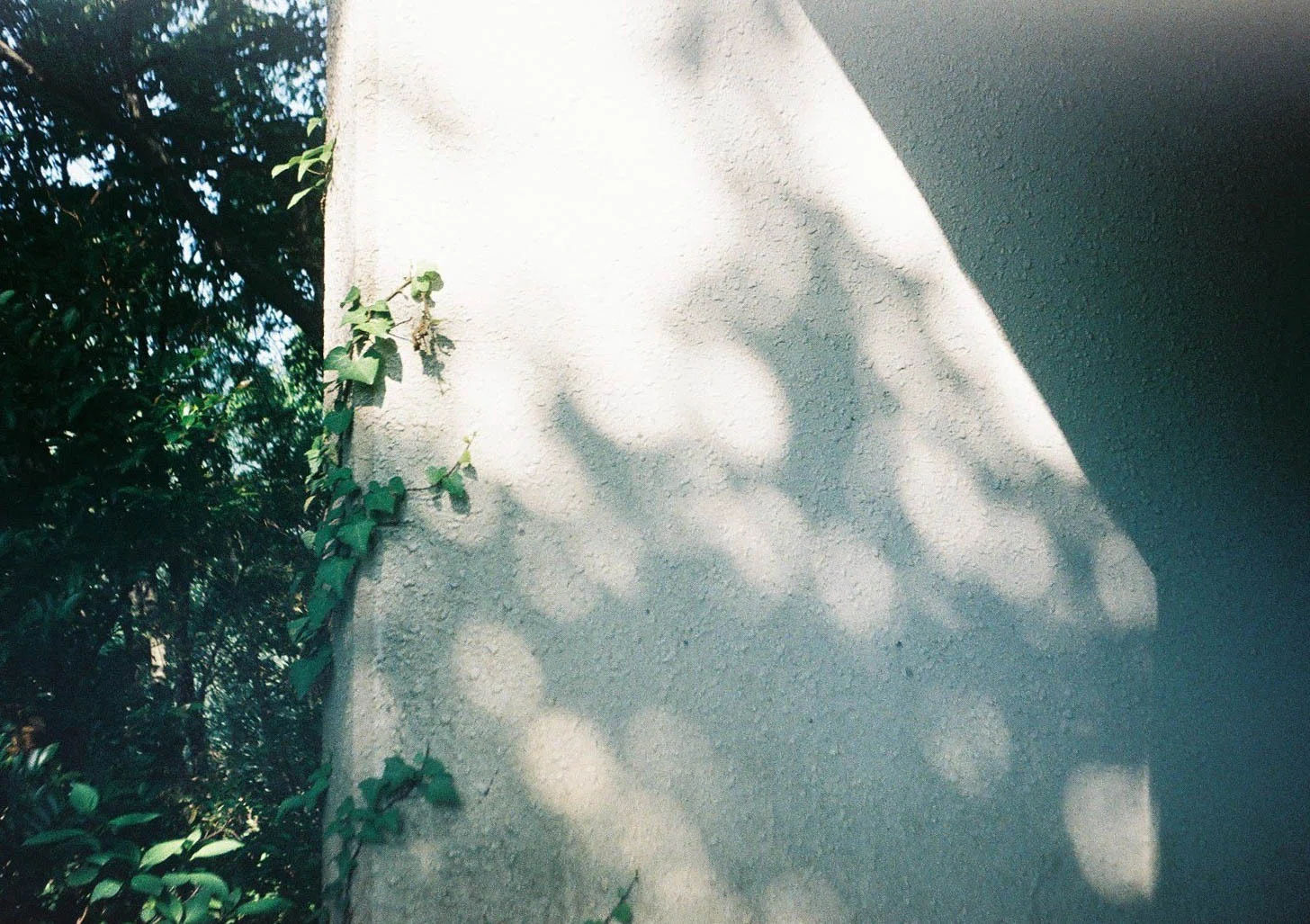 作例】OLYMPUS PEN EE-3（ハーフフィルムカメラ）①｜ken