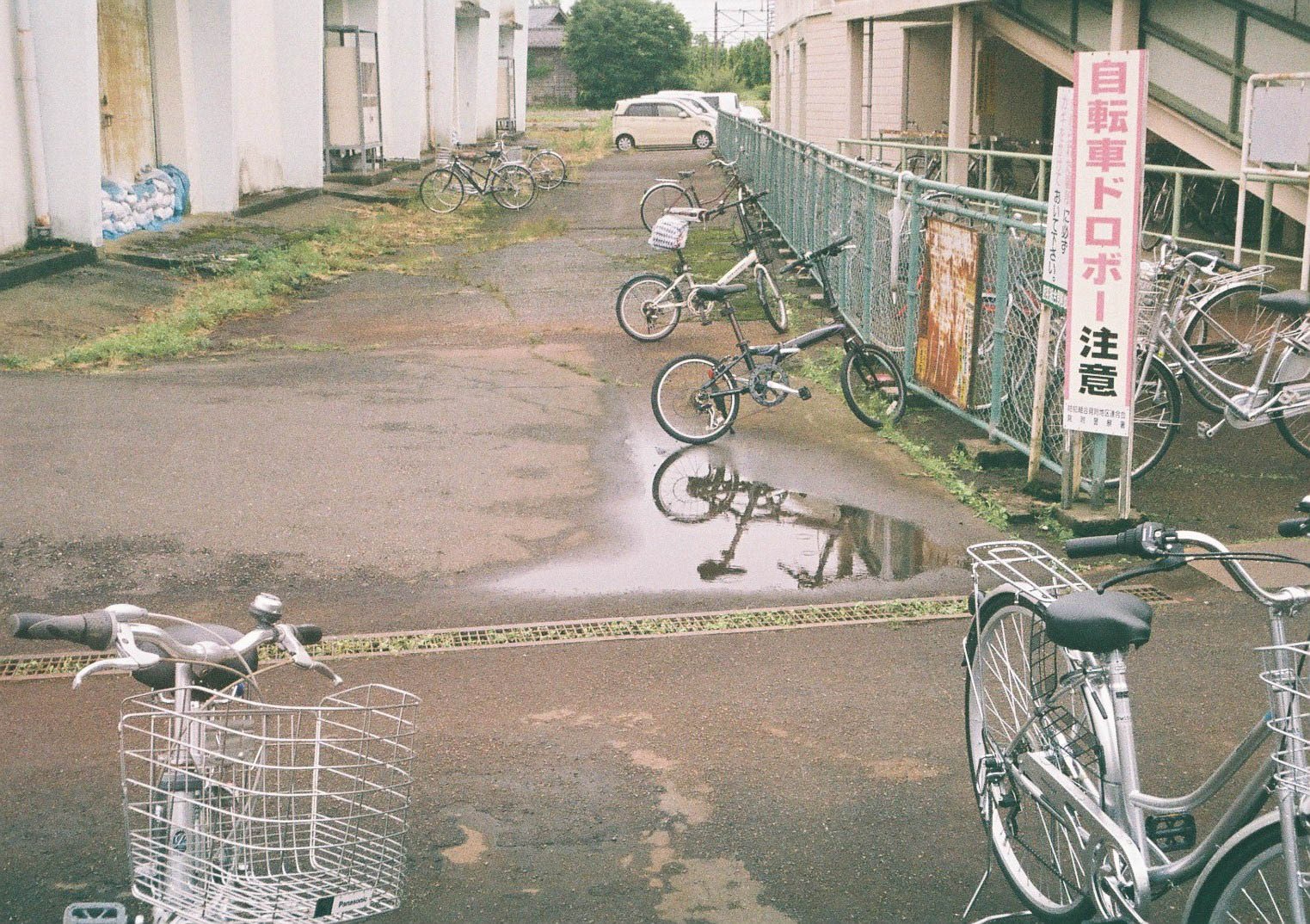 作例】OLYMPUS PEN EE-3（ハーフフィルムカメラ）①｜ken