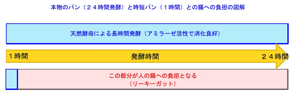 「24時間発酵」と「1時間発酵」のパンを腸への負担の観点で比較した図。発酵不足のパンが腸の壁に負担をかけ、リーキーガットのリスクが高まる様子を視覚的に示している。