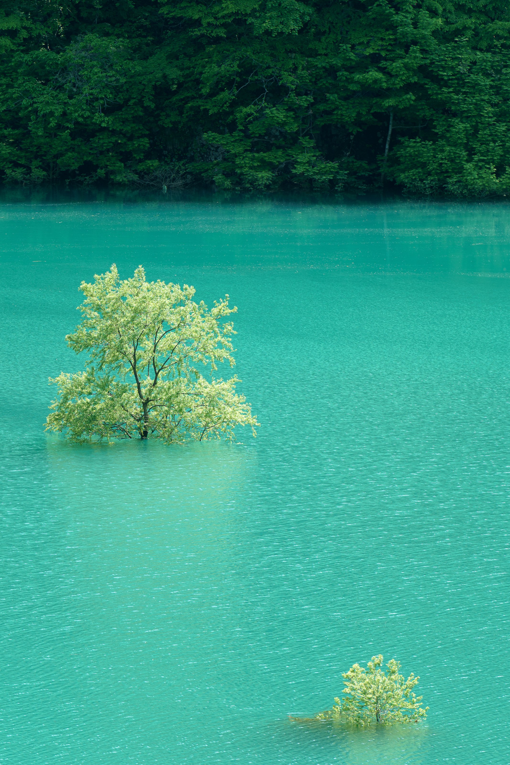 秋扇湖を歩く。｜JunSus