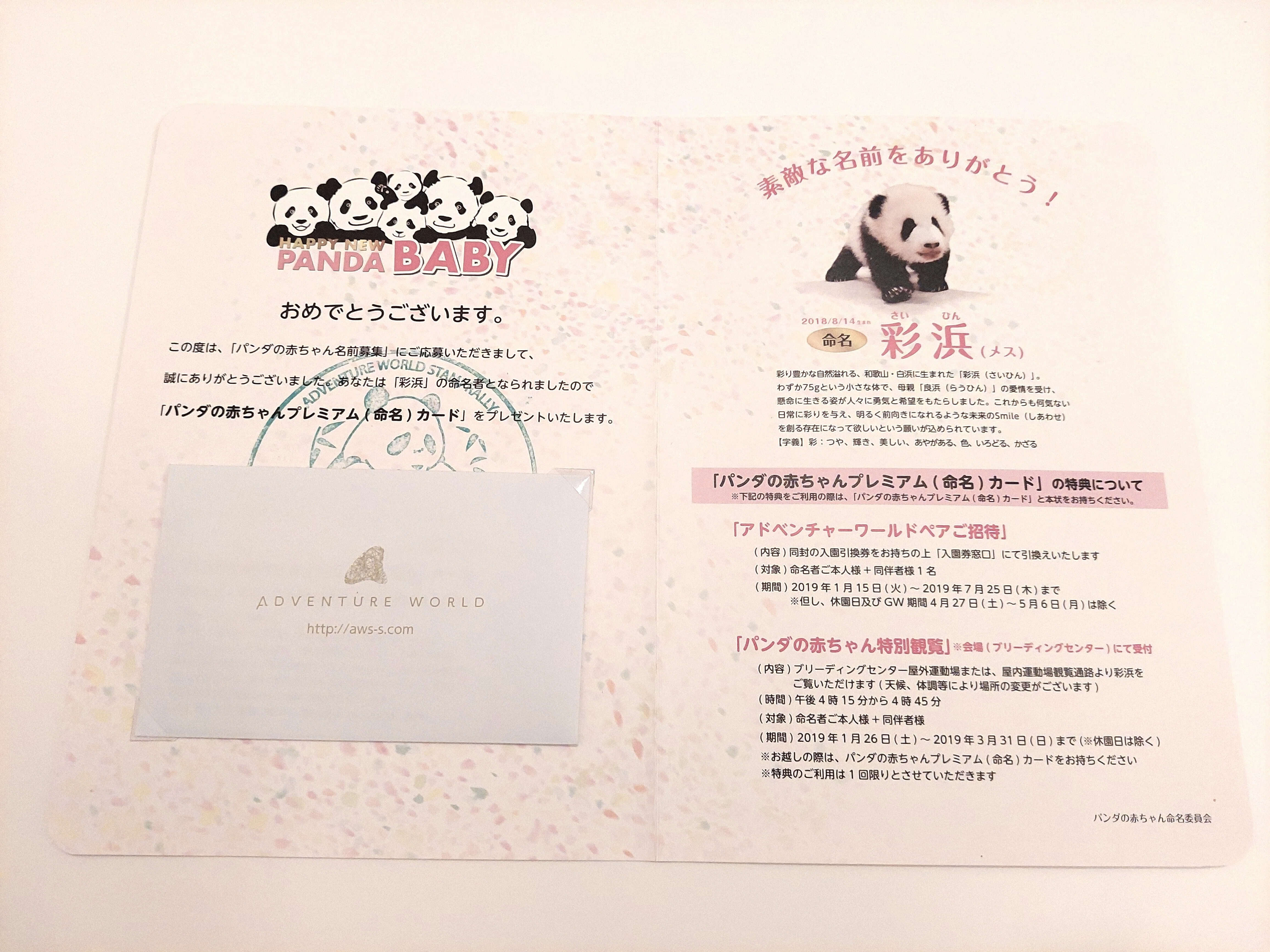 パンダファミリーを見送りに白浜へ～思い出を振り返る｜moz