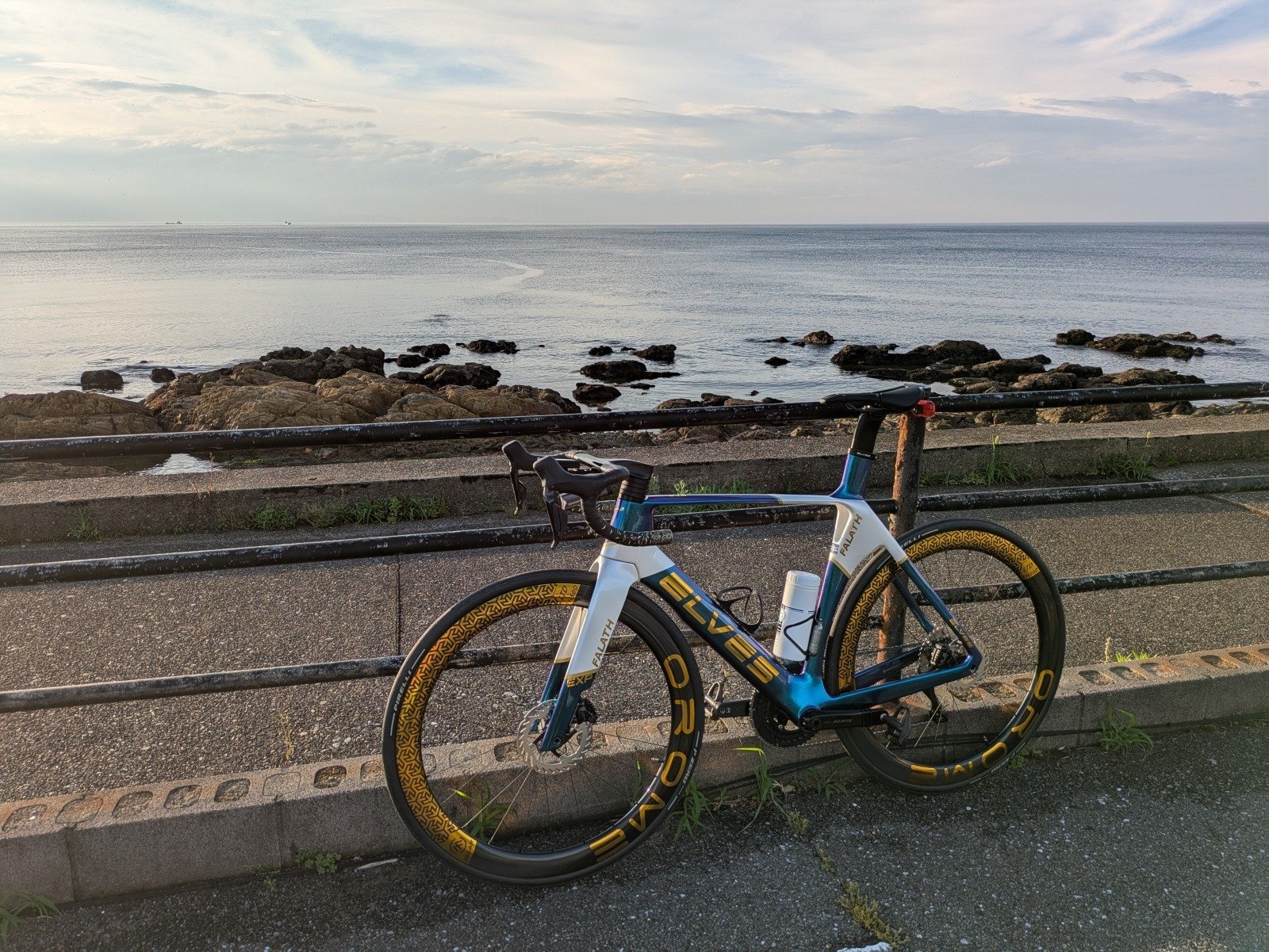 自転車本体 ELVES FALATH PRO Elves Falath Pro Disc Brake Carbon