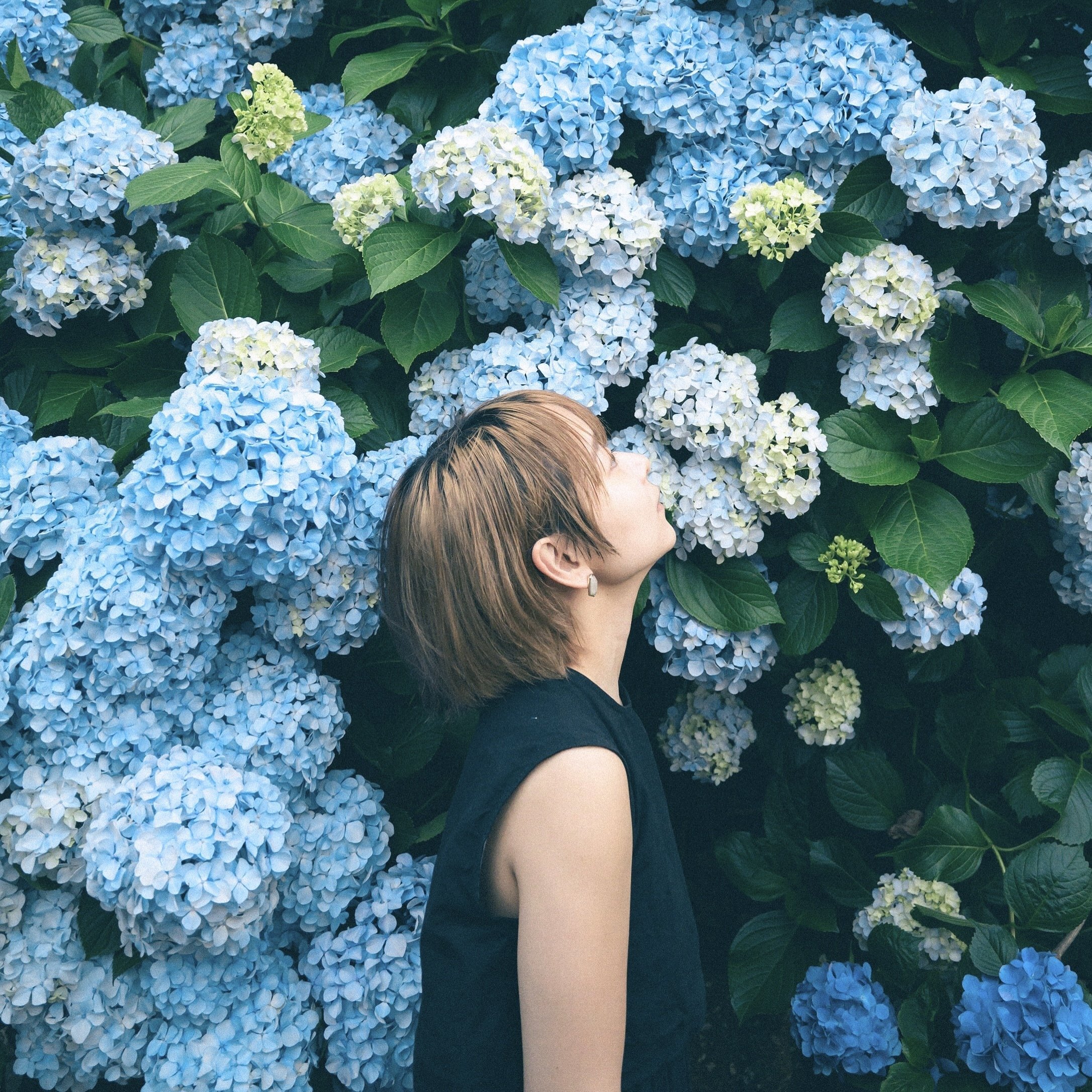 作例もりもり】Nikon Z5ⅱで撮ってみた。【フレキシブルカラー