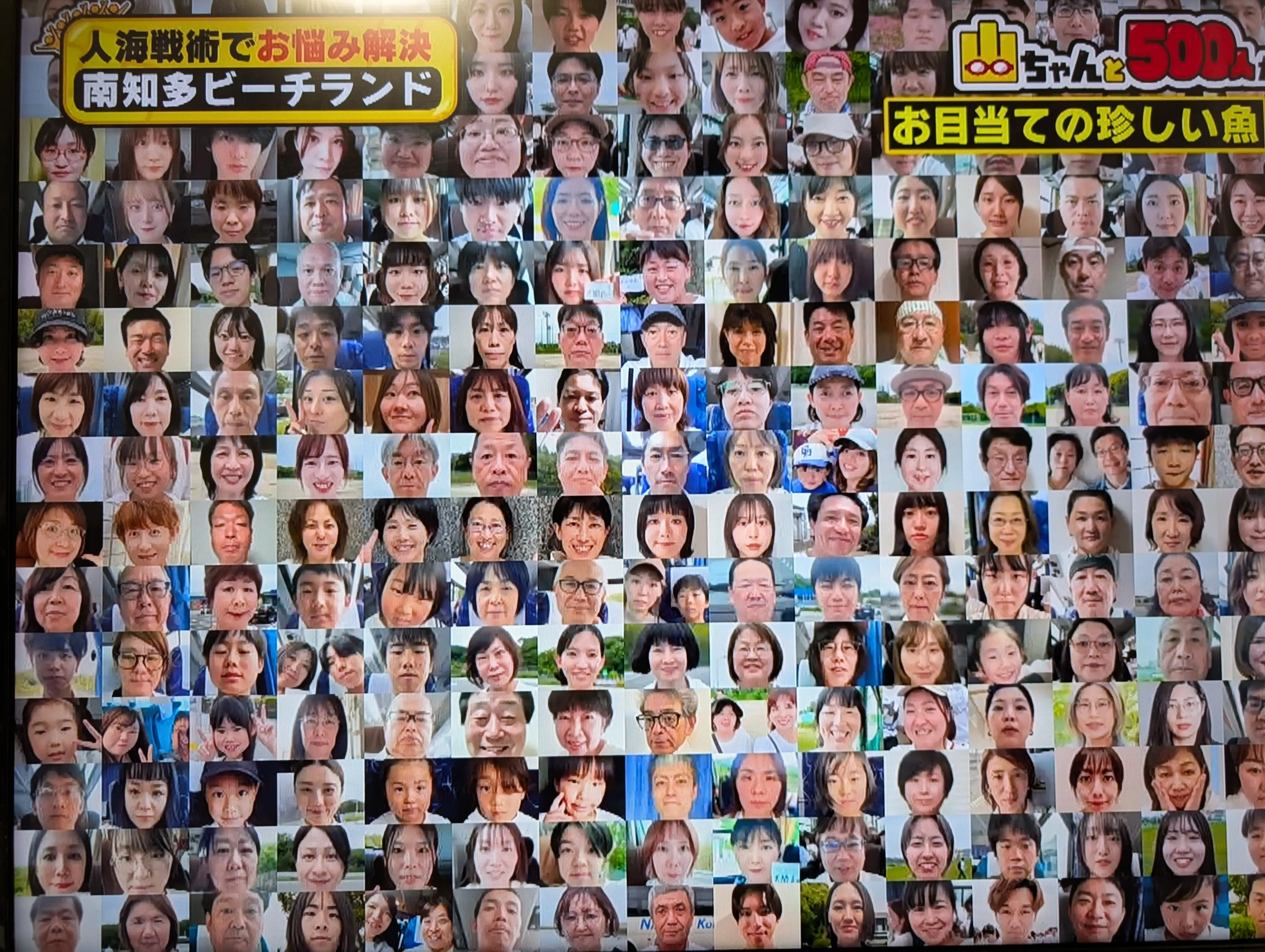 やんさんを探せ｜やん（矢野達也）