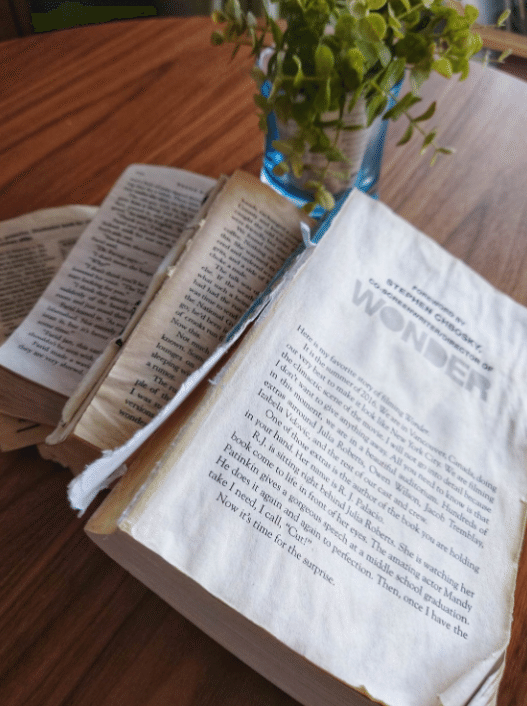 おススメの洋書①] ｜はじめてのnote｜きっき