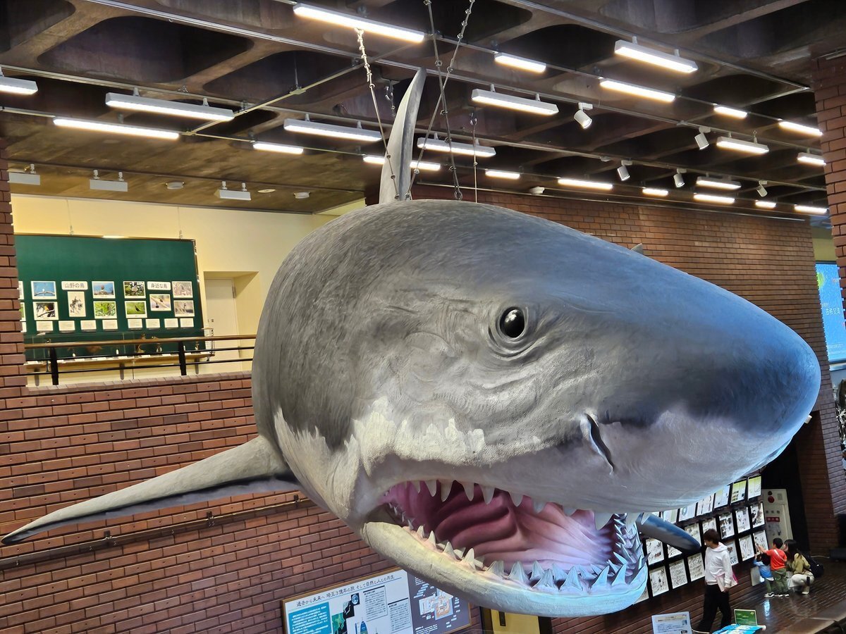 The Lost Universe 古代の巨大カイギュウ④巨大ヒドロダマリス