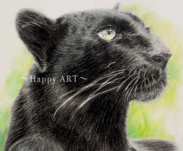 アートギャラリー ＃01「黒豹」｜Happy ART